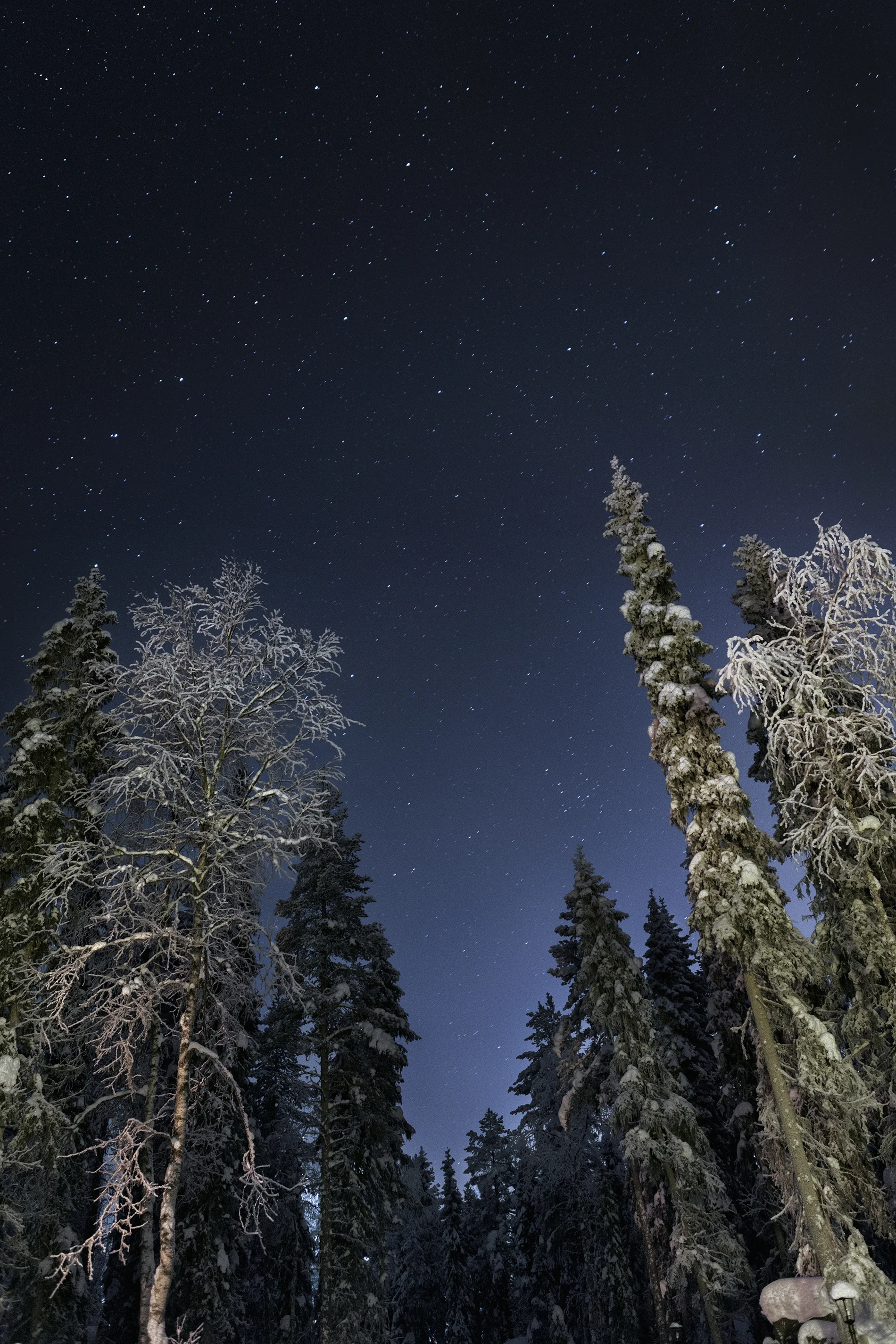 _MG_4412.jpg