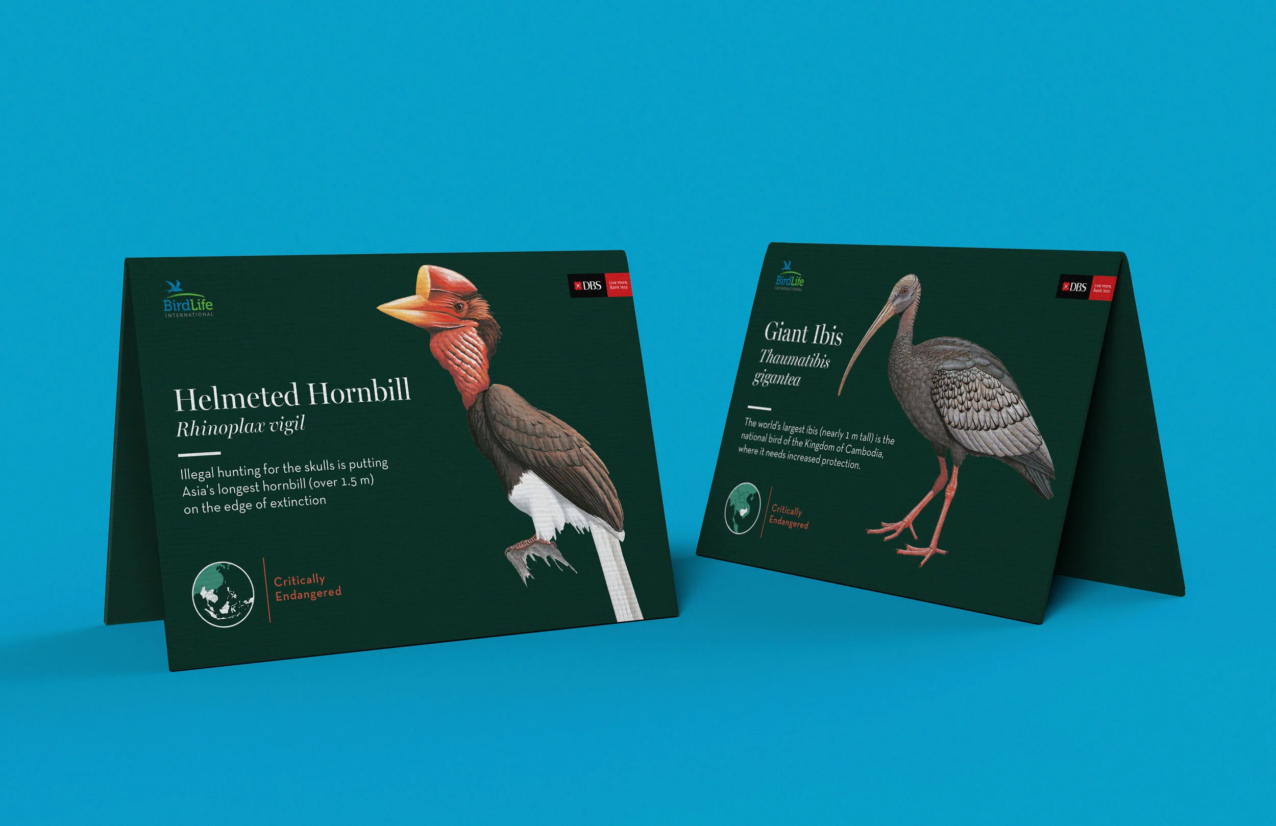BirdLife-Table-placard.jpg