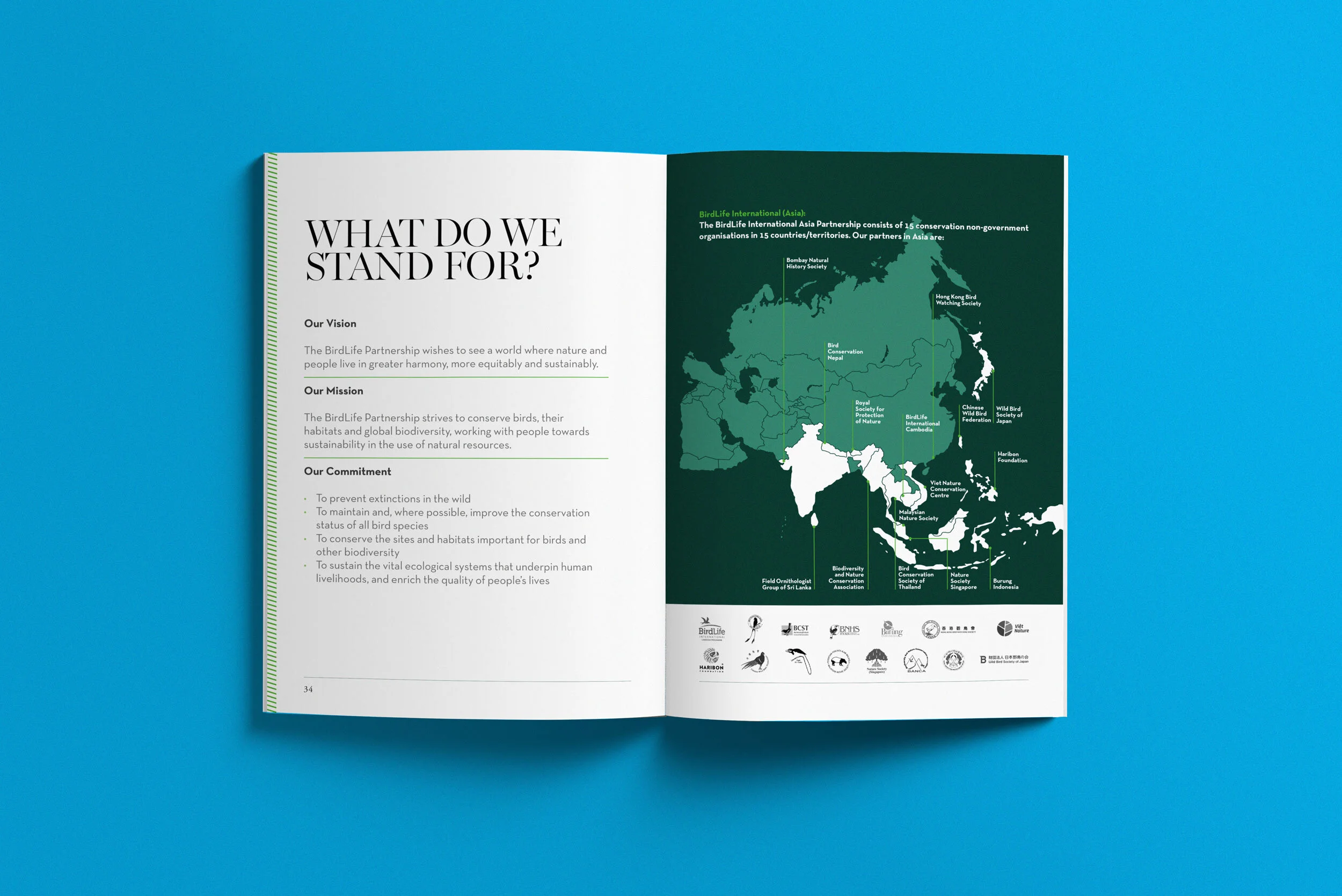BL-Brochure1.jpg