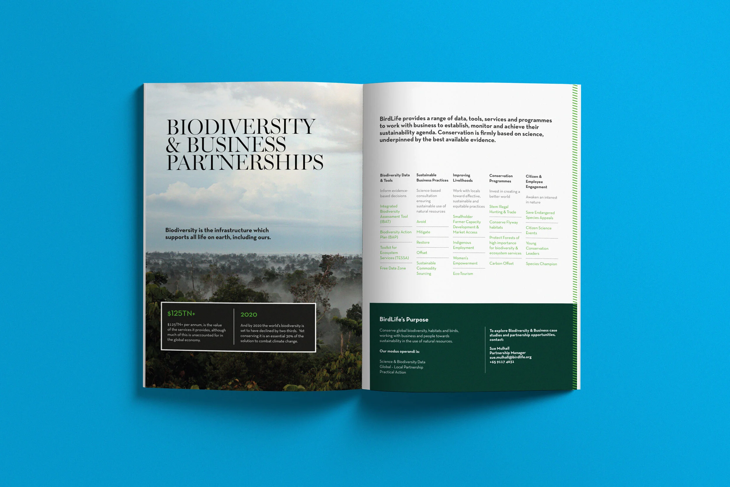 BL-Brochure3.jpg