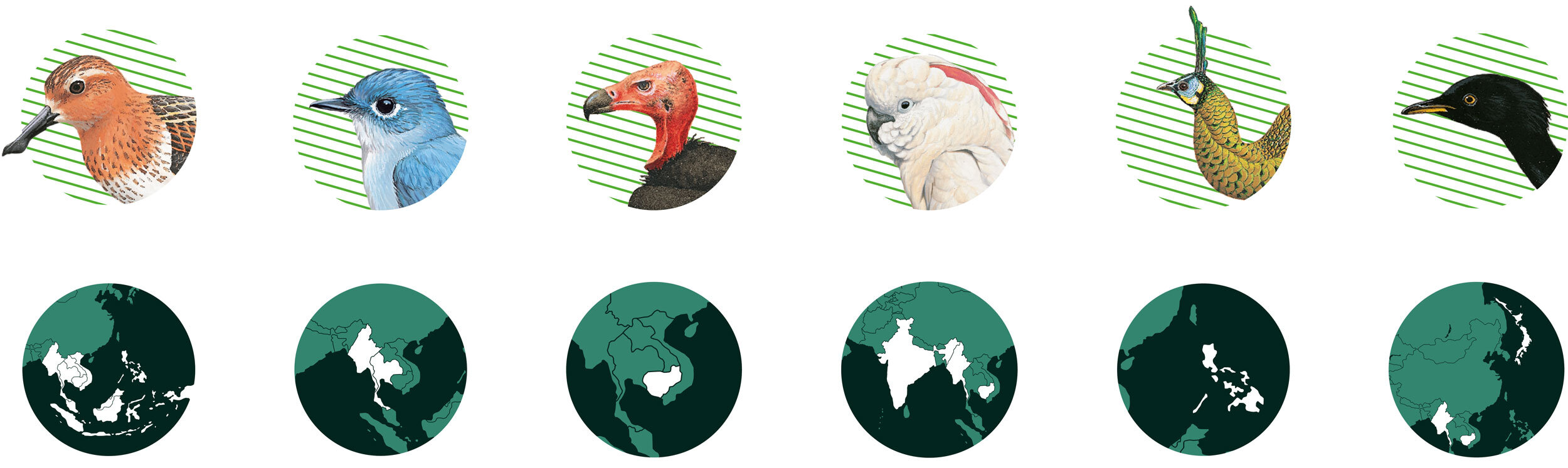 Client: BirdLife