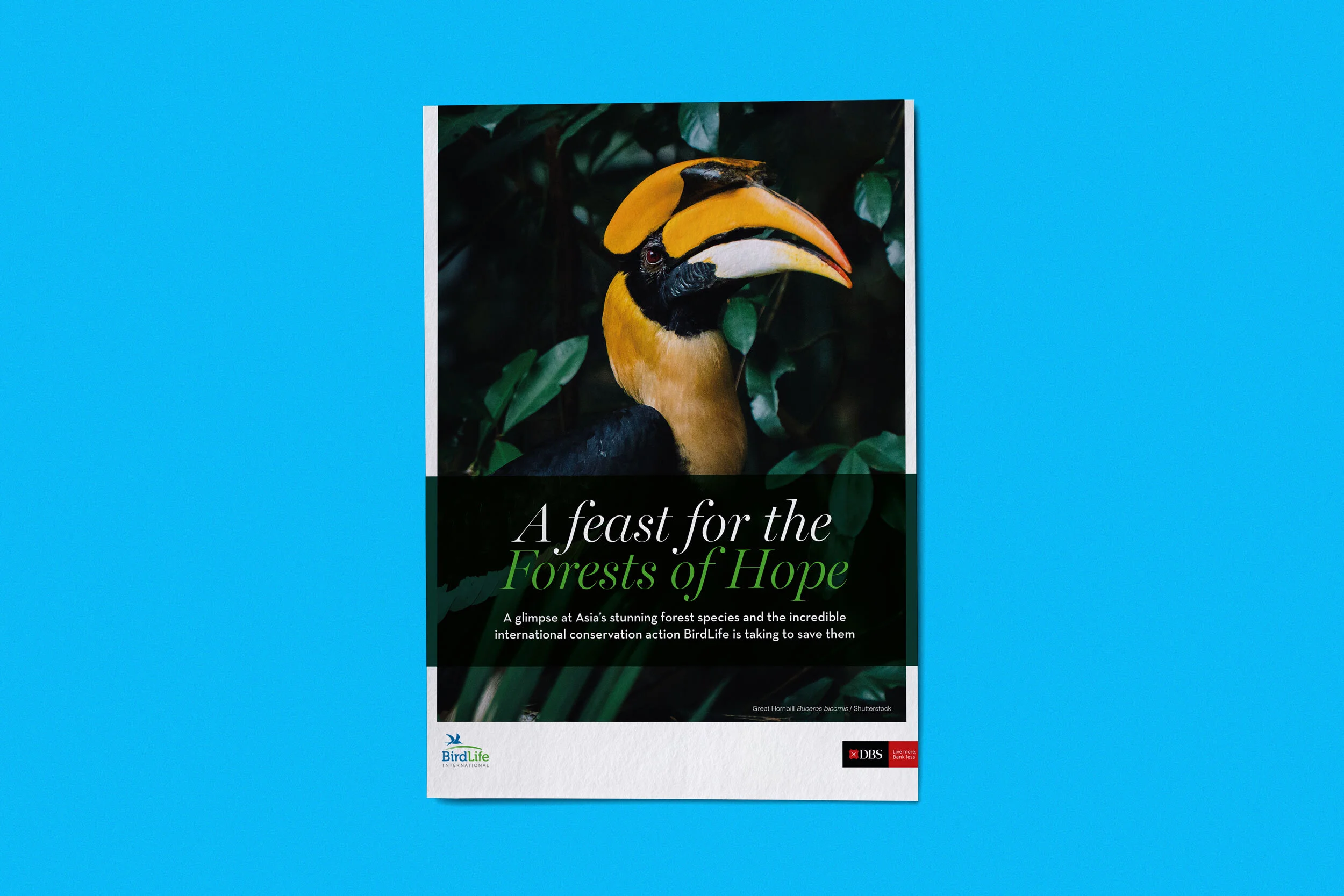 BirdLife-Brochure.jpg