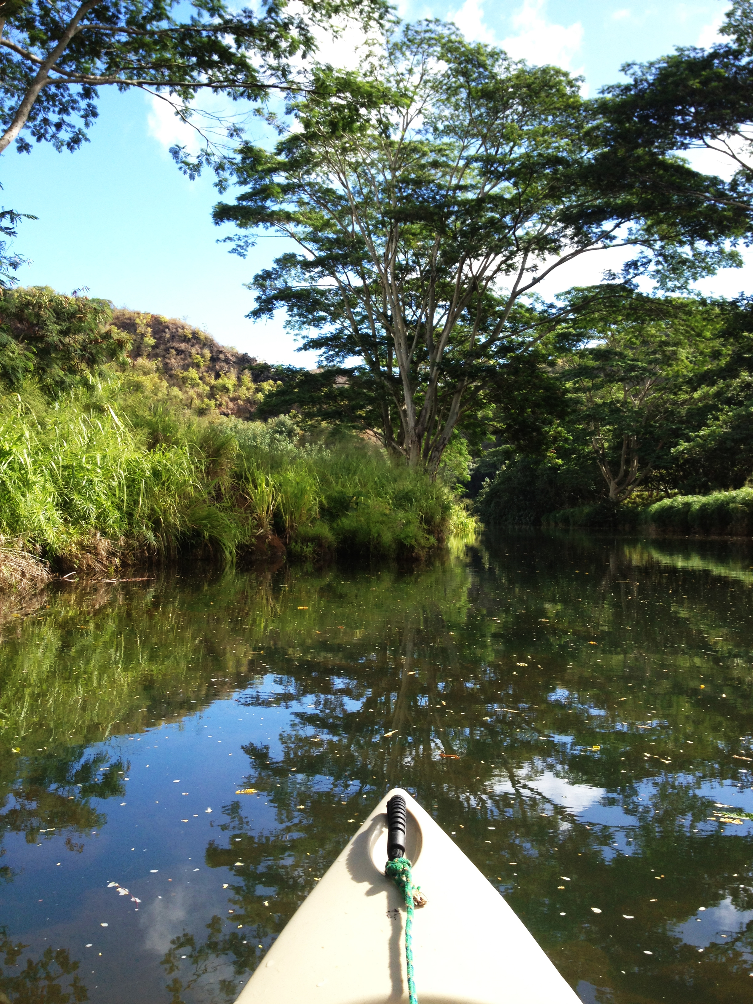 Canoeing.jpg