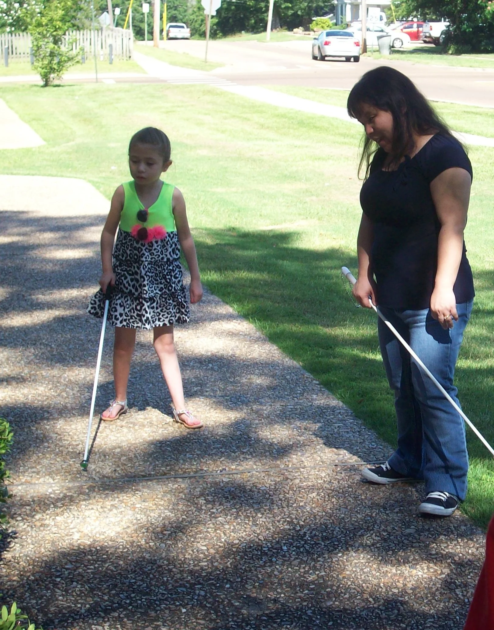 Baylee traveling to class--cane out in front