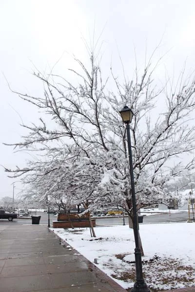 railroad park.jpg