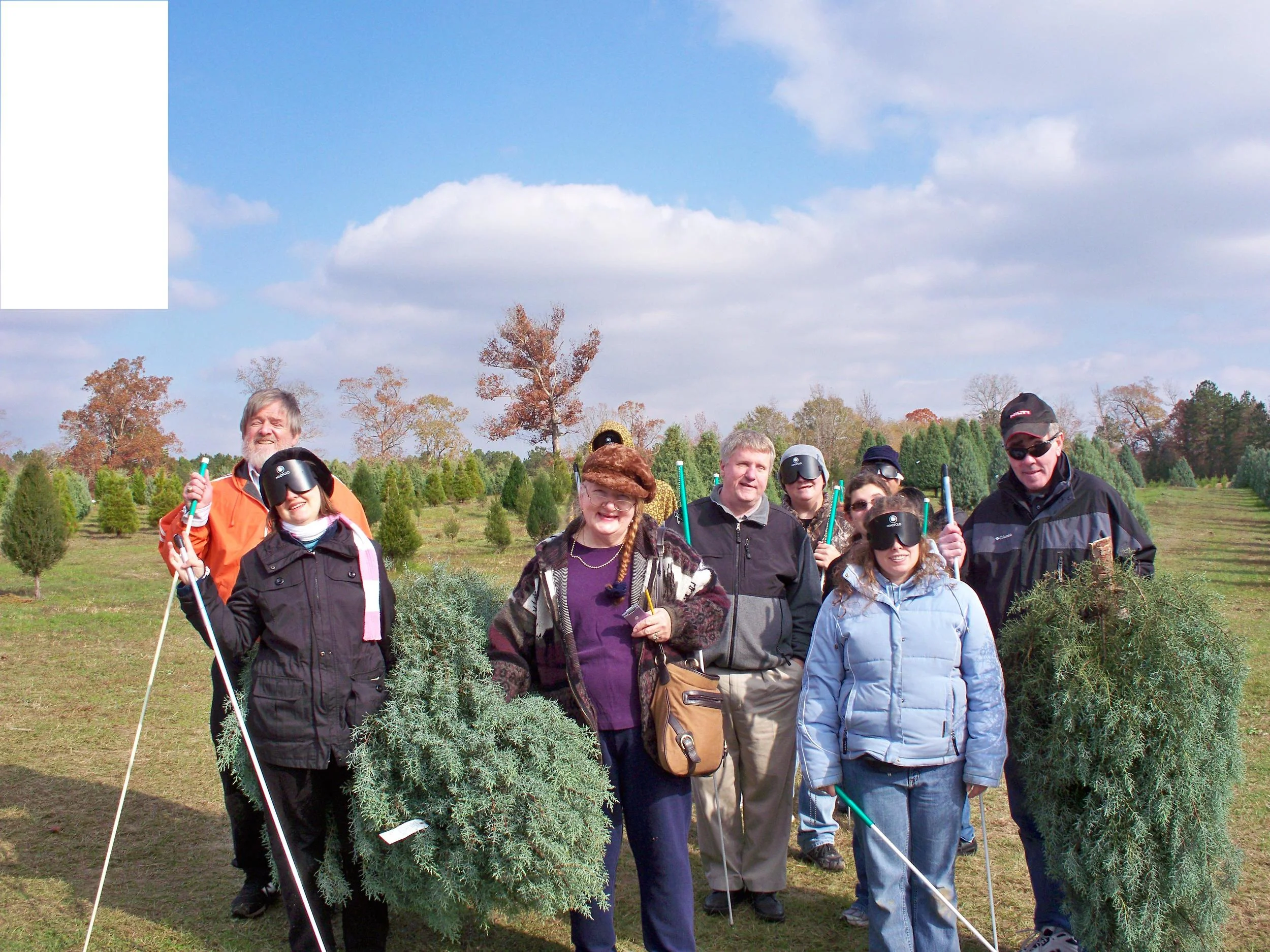 A visit to the Christmas tree farm