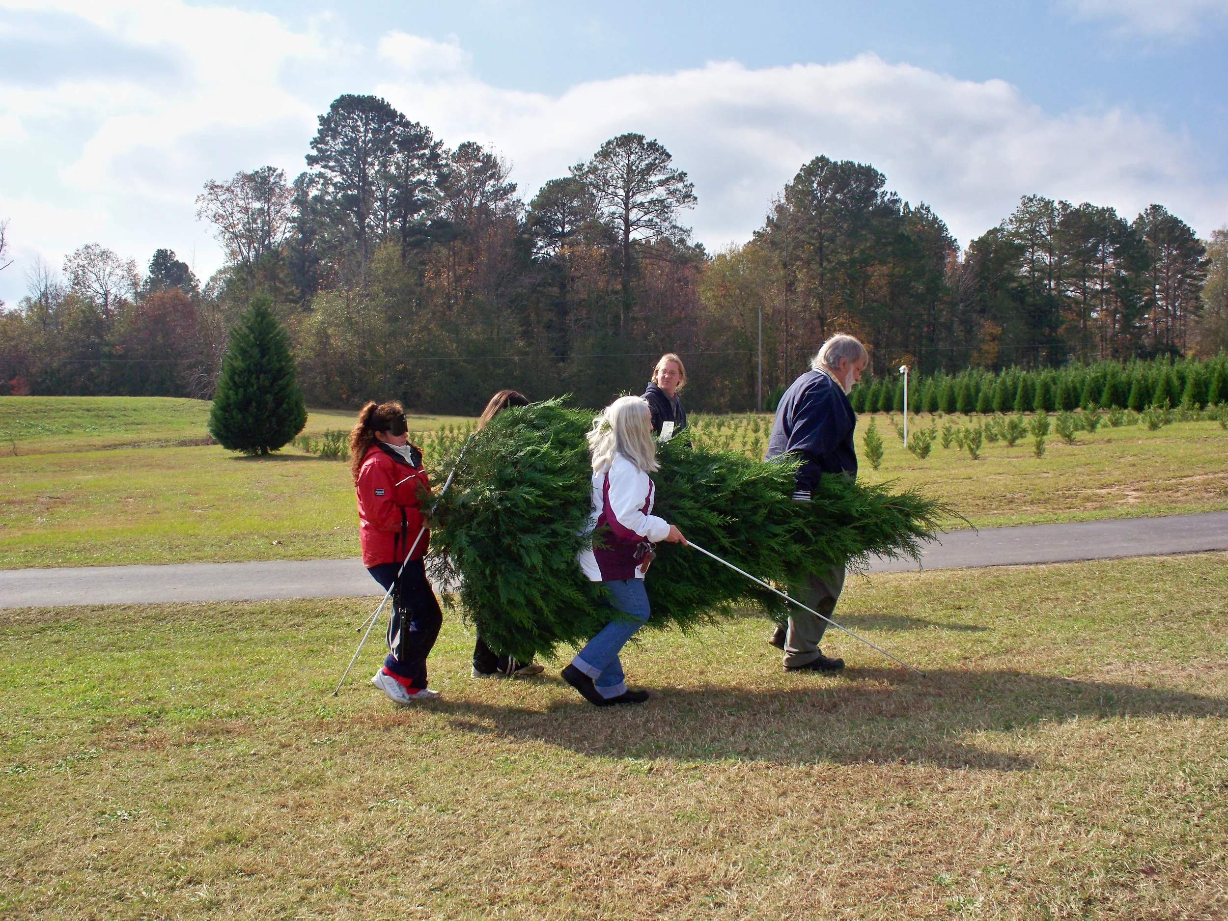 Bringing back the Christmas tree