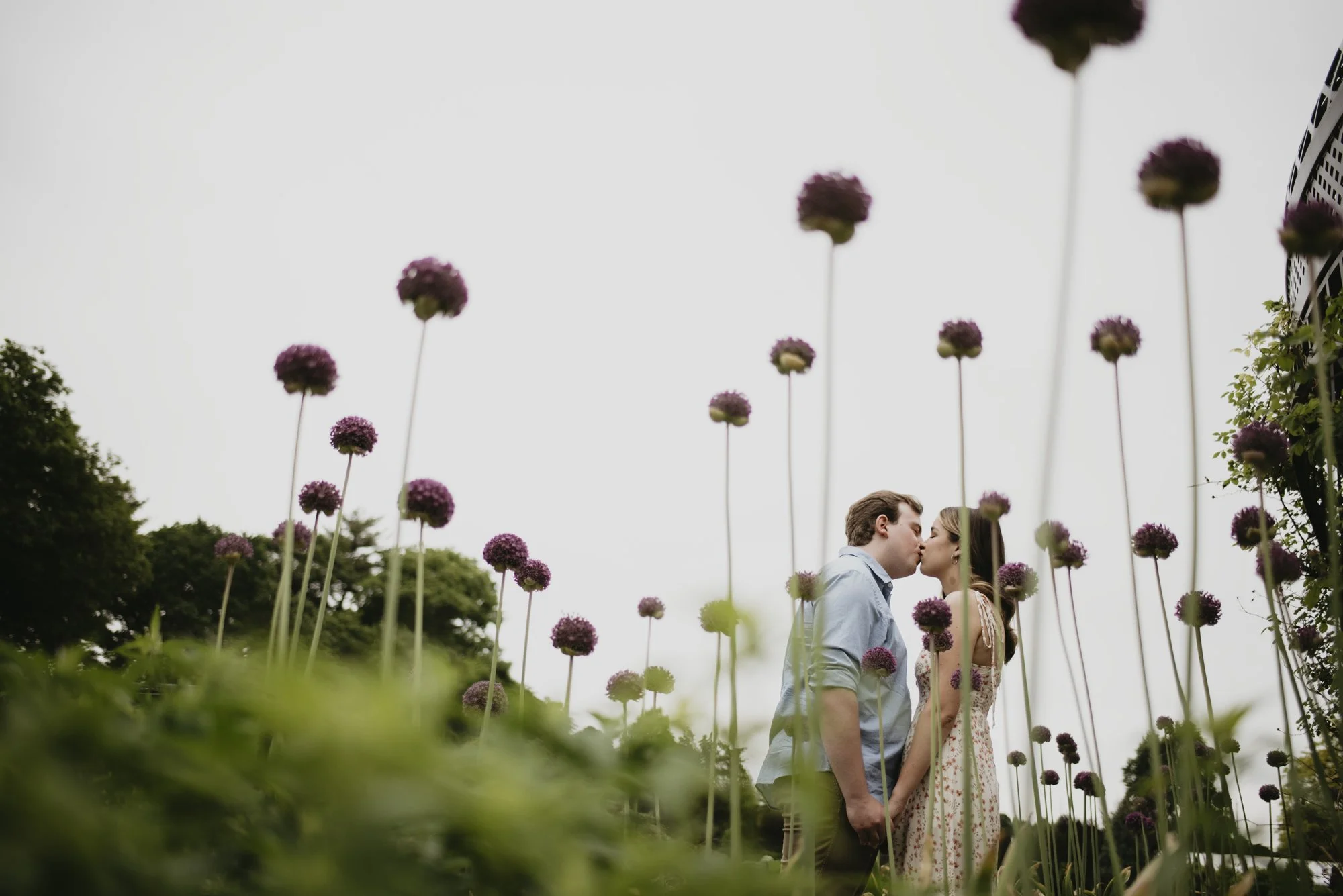 A couple kissing outdoors among tall purple flowers, with trees and a building in the background on an overcast day.