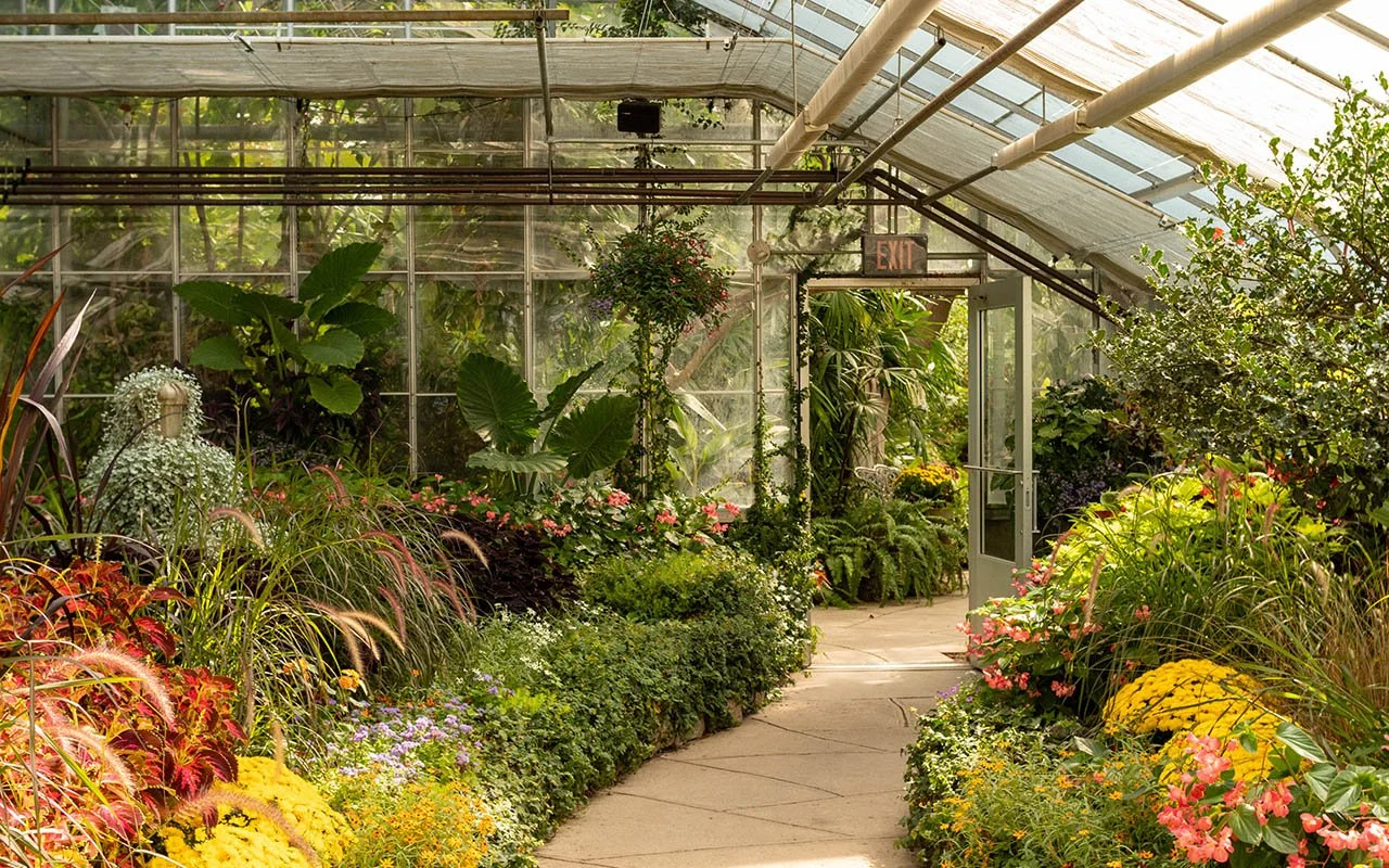 8d8f-centennial-park-conservatory-seasonal-showhouse.jpg