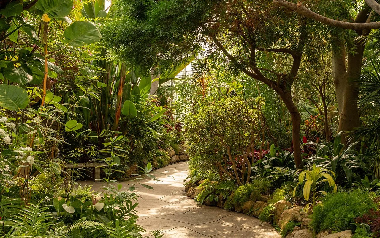 954c-centennial-park-conservatory-tropical-showhouse.jpg
