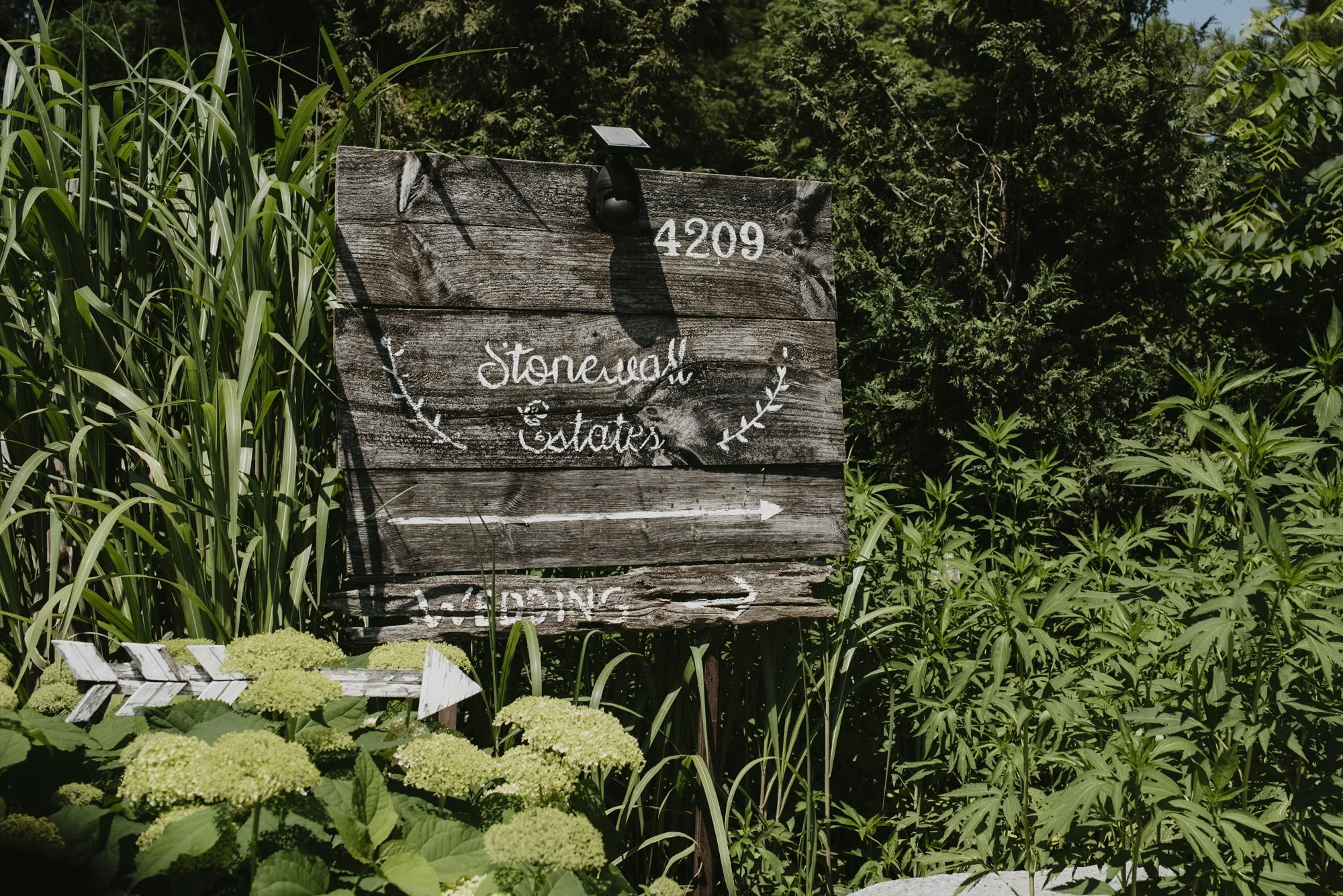 CMW00055.jpg