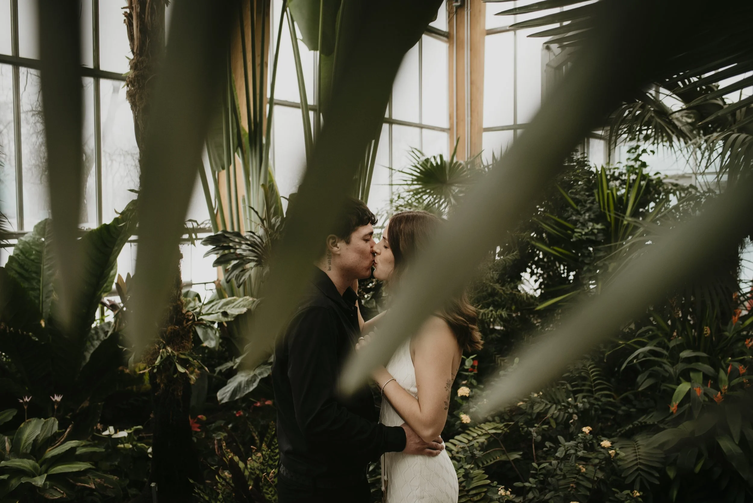 A couple sharing a kiss inside a lush, green greenhouse surrounded by tall tropical plants and flowers.