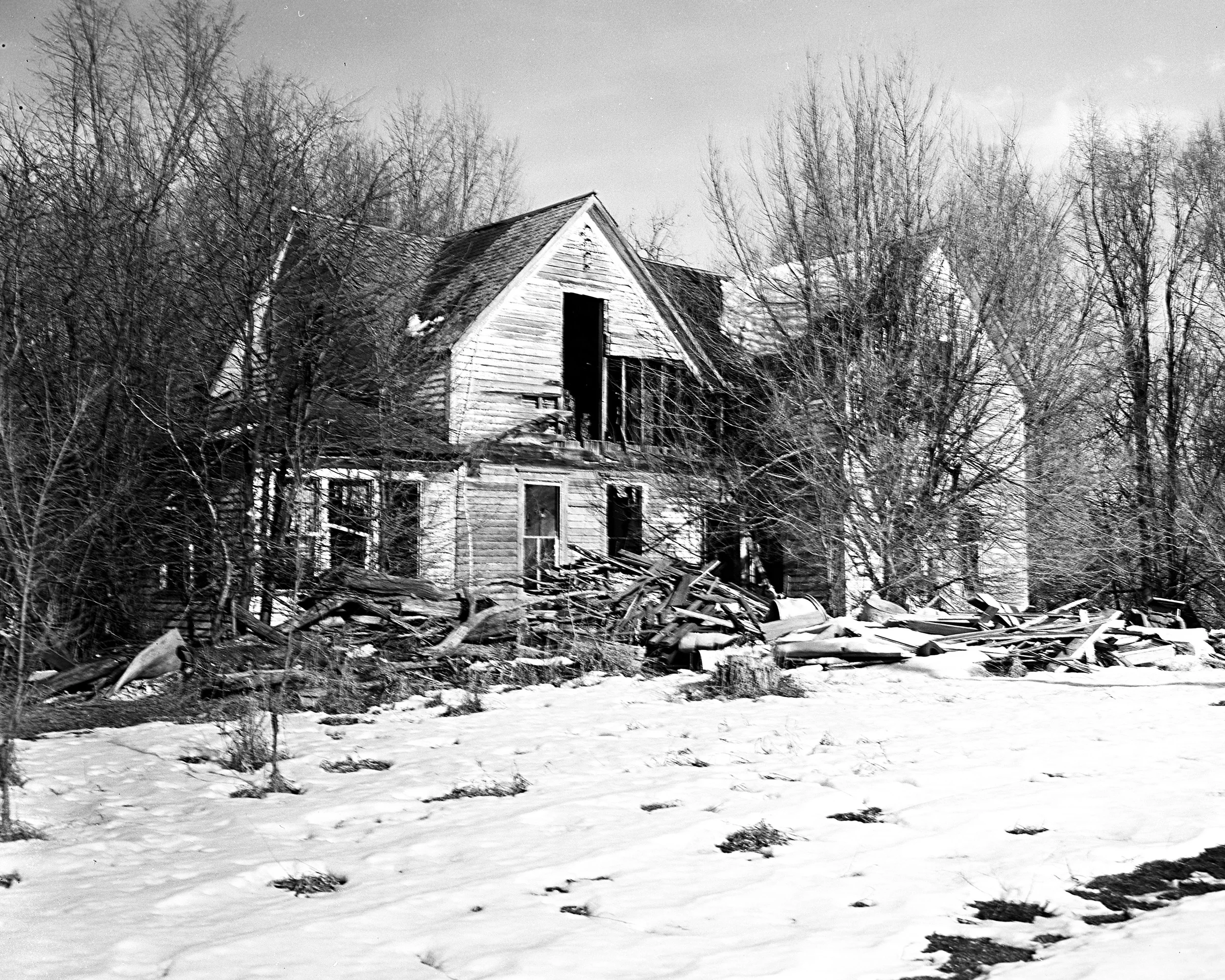 DHouse9.jpg