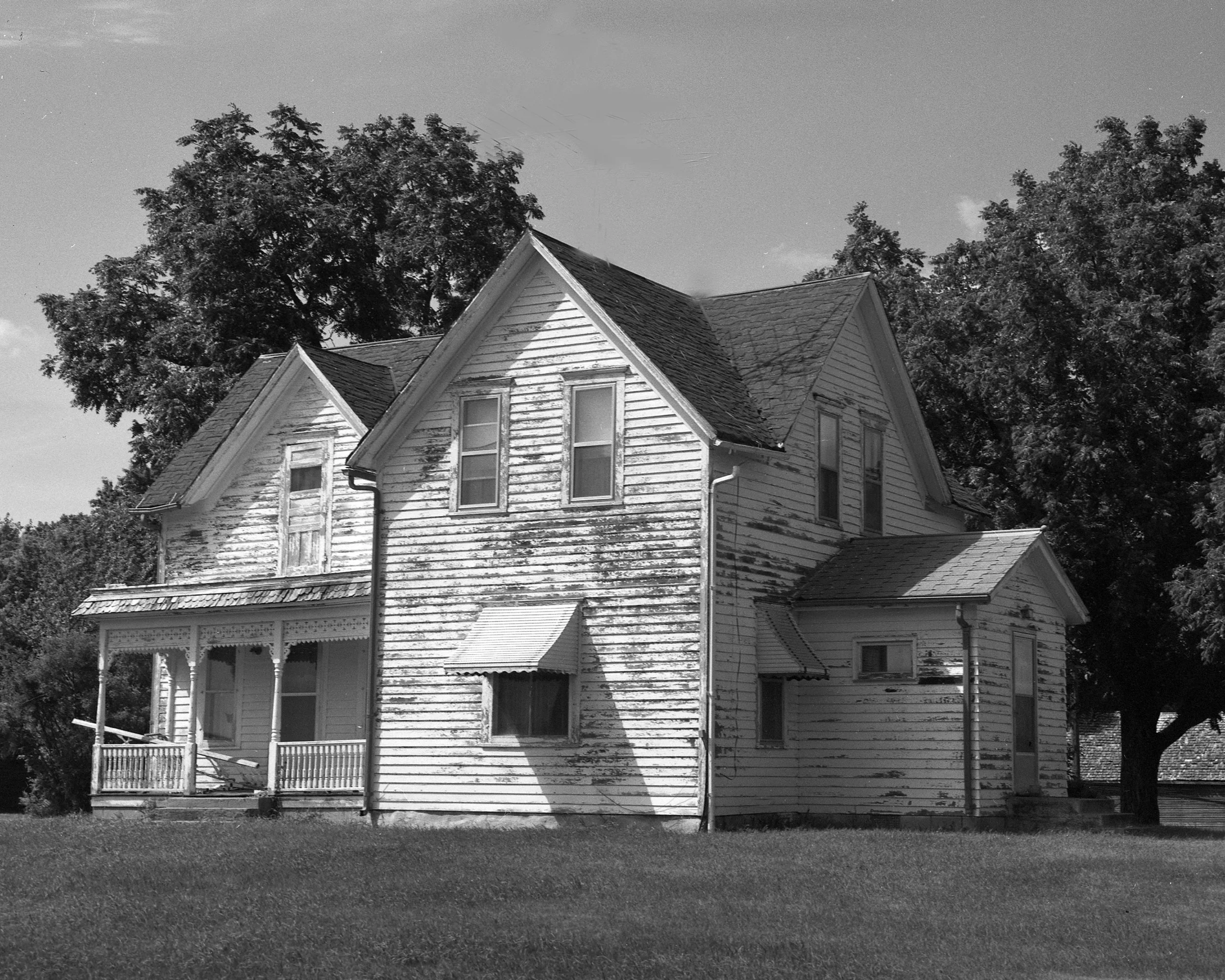 DHouse13.jpg