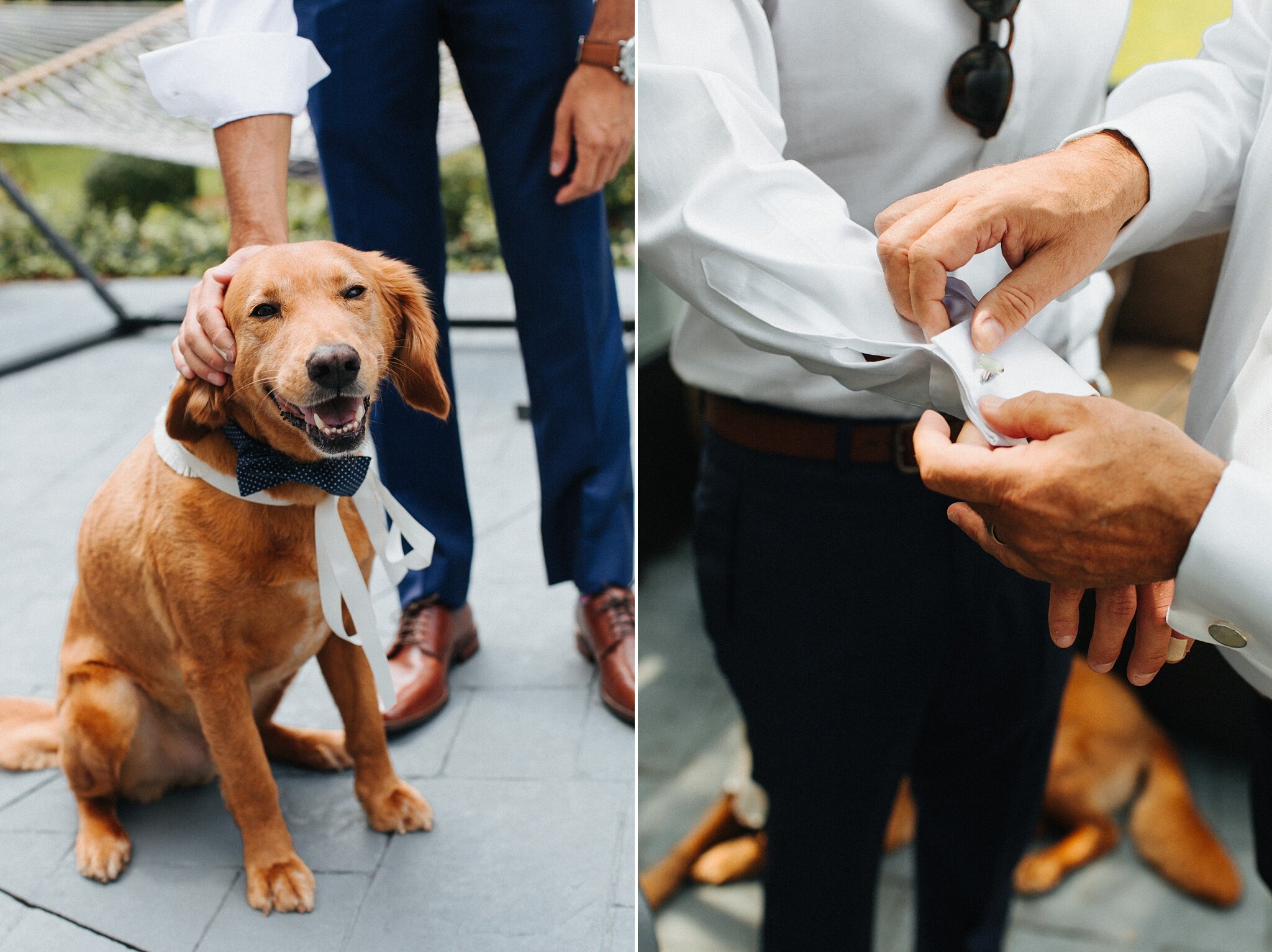 rose bank winery summer wedding