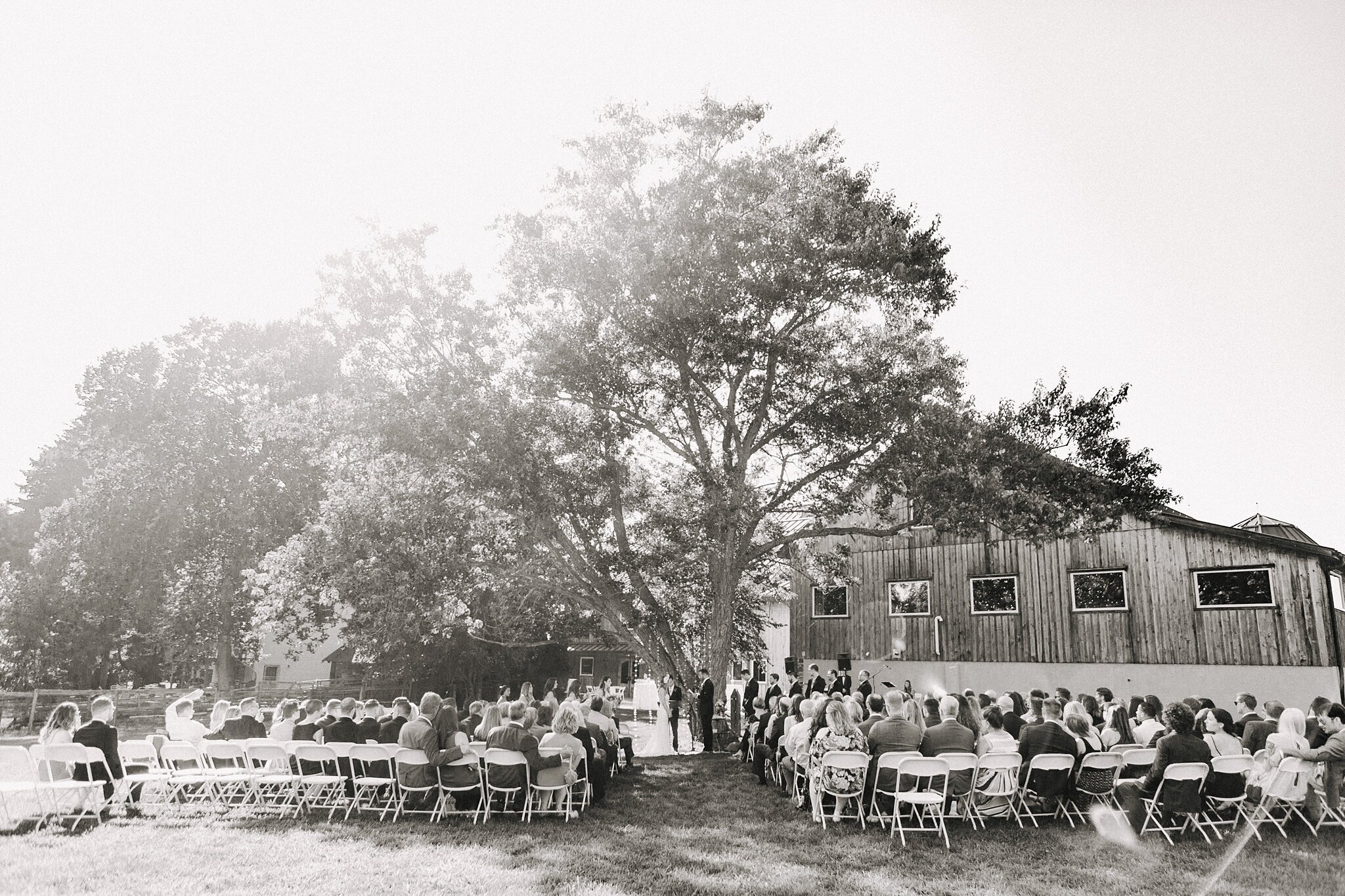 rose bank winery summer wedding