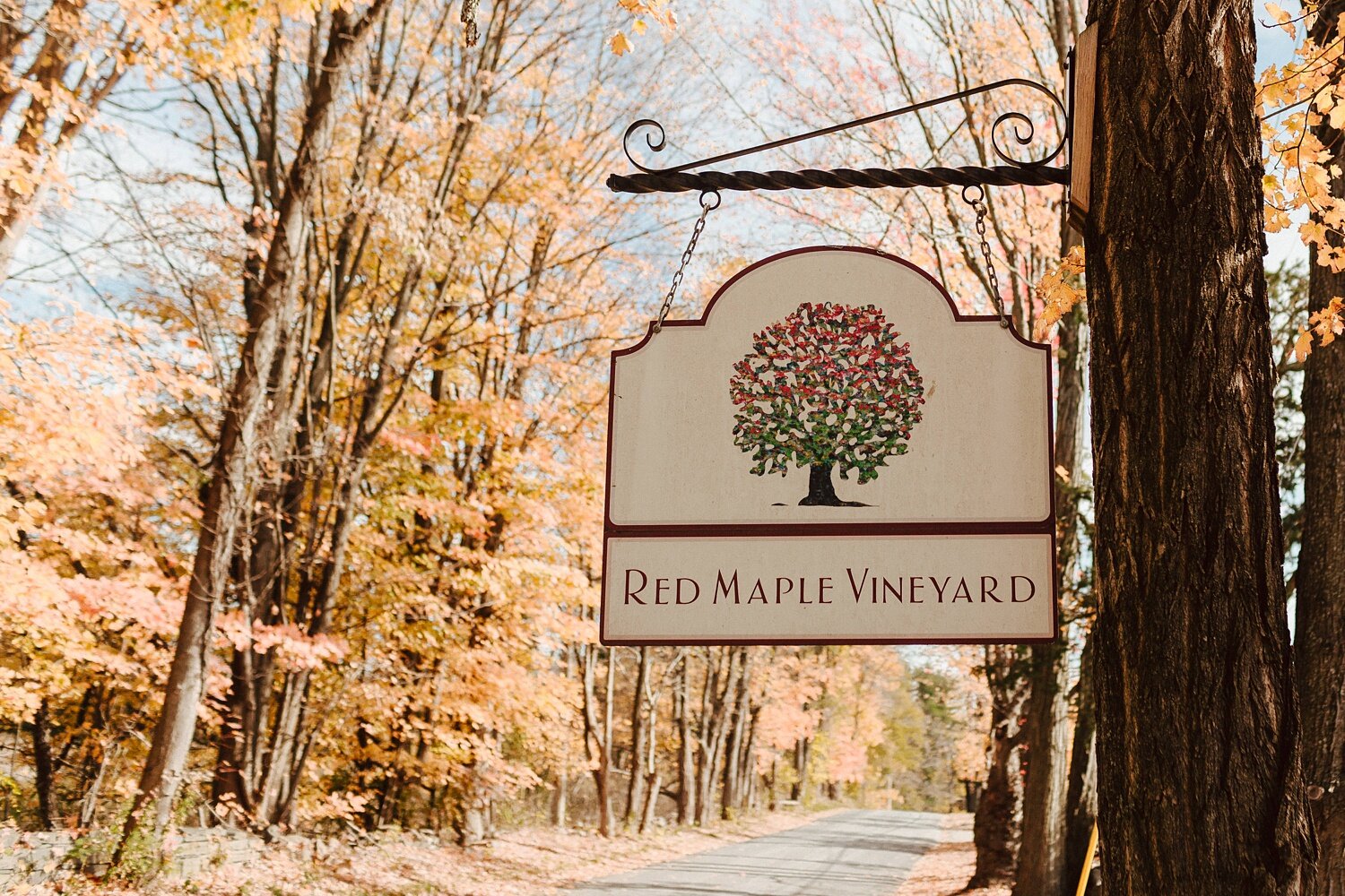 Hudson Valley Fall Winery Wedding