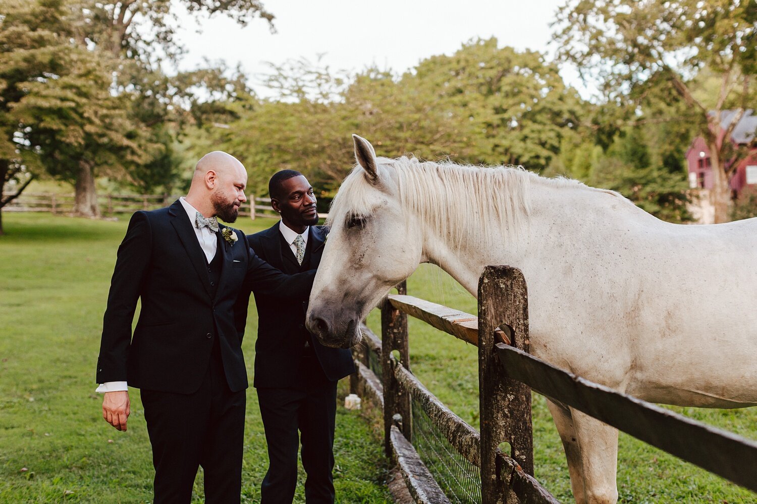 same-sex-summer-winery-wedding