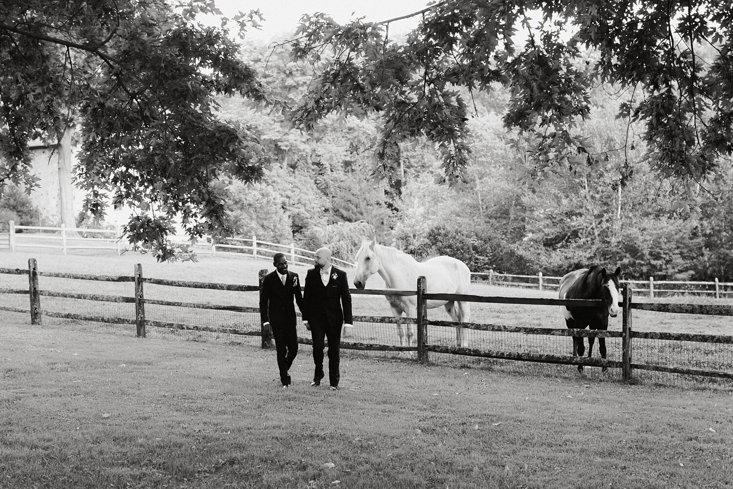 same-sex-summer-winery-wedding