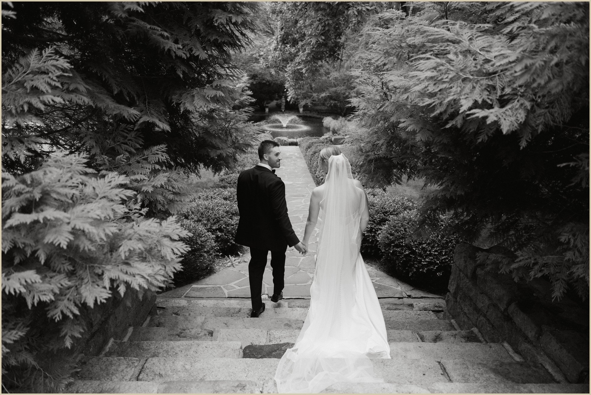 hollyhedge, documentary, summer, wedding, photo