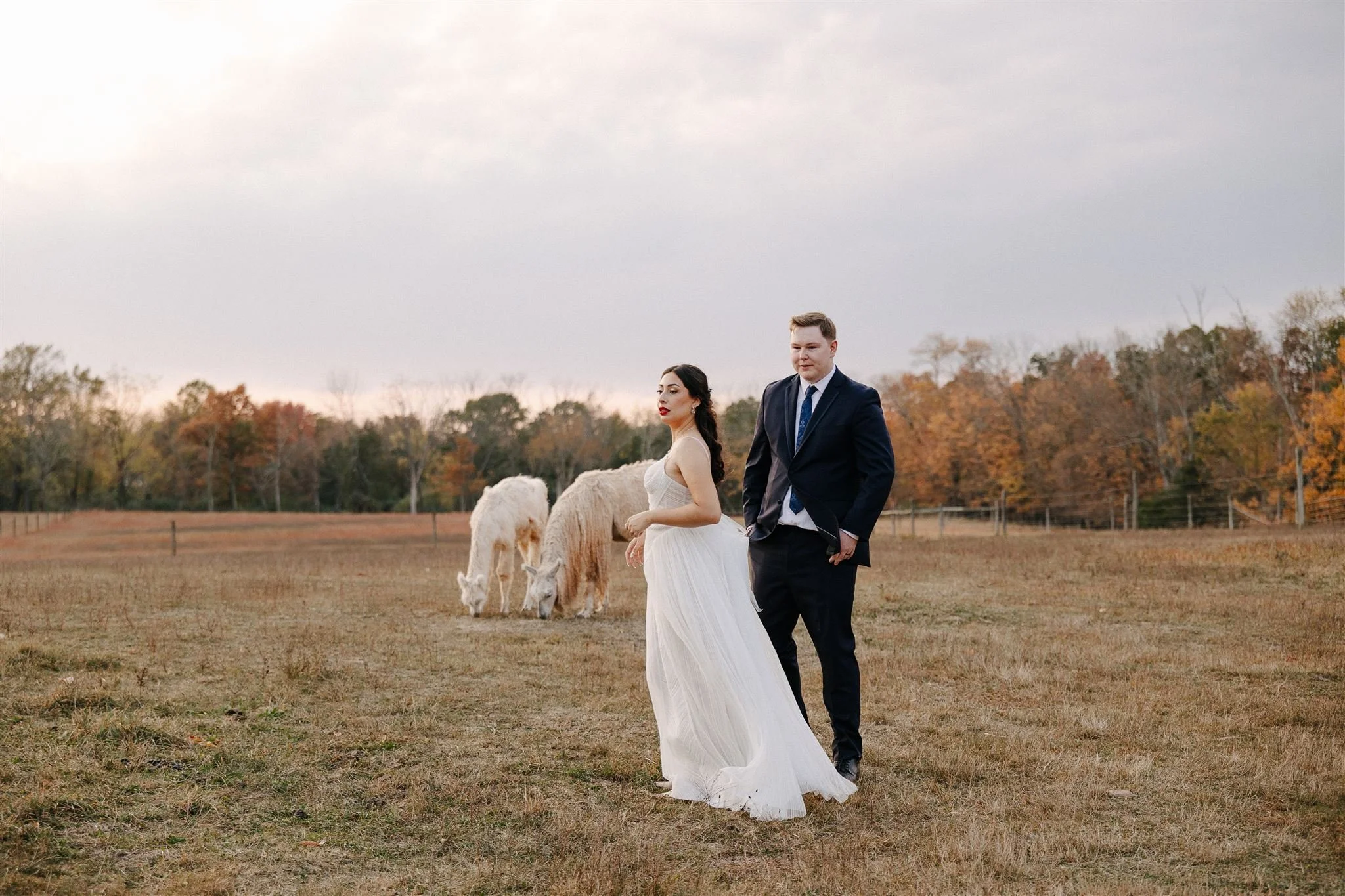 Jenna + Alex 