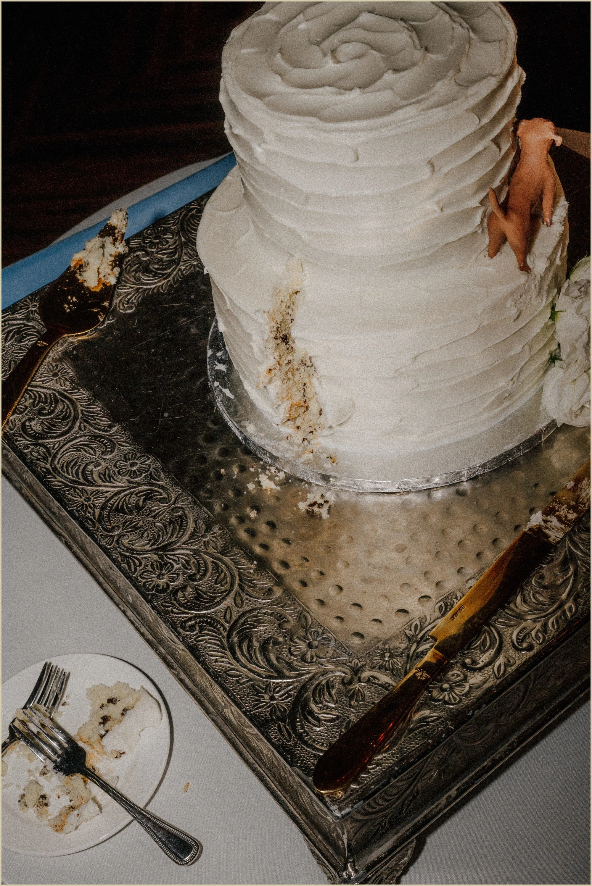 direct flash shot of cake after bride and groom cut