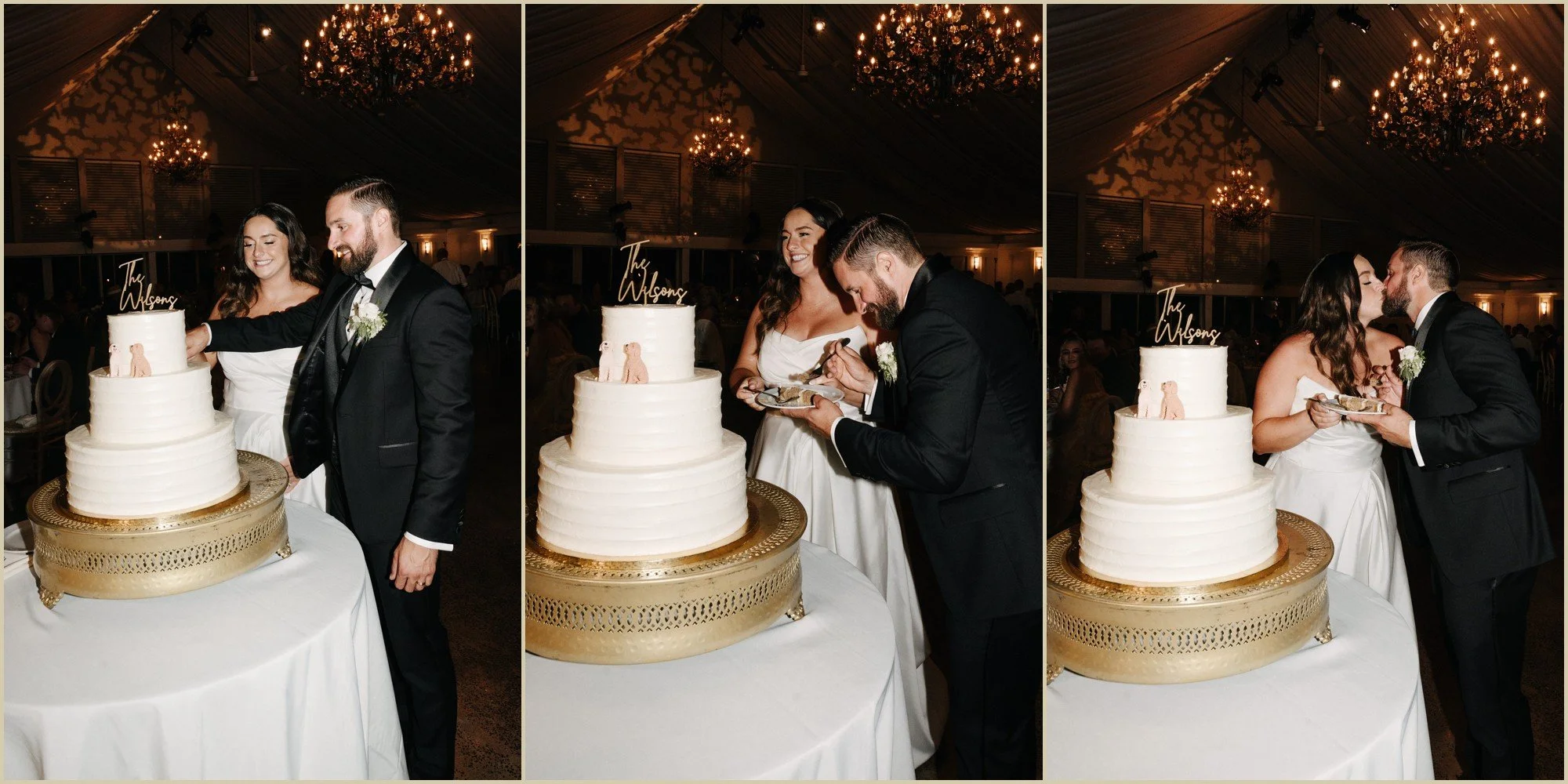 direct flash paparazzi style wedding cake cutting
