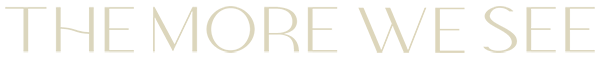 The More We See Logo