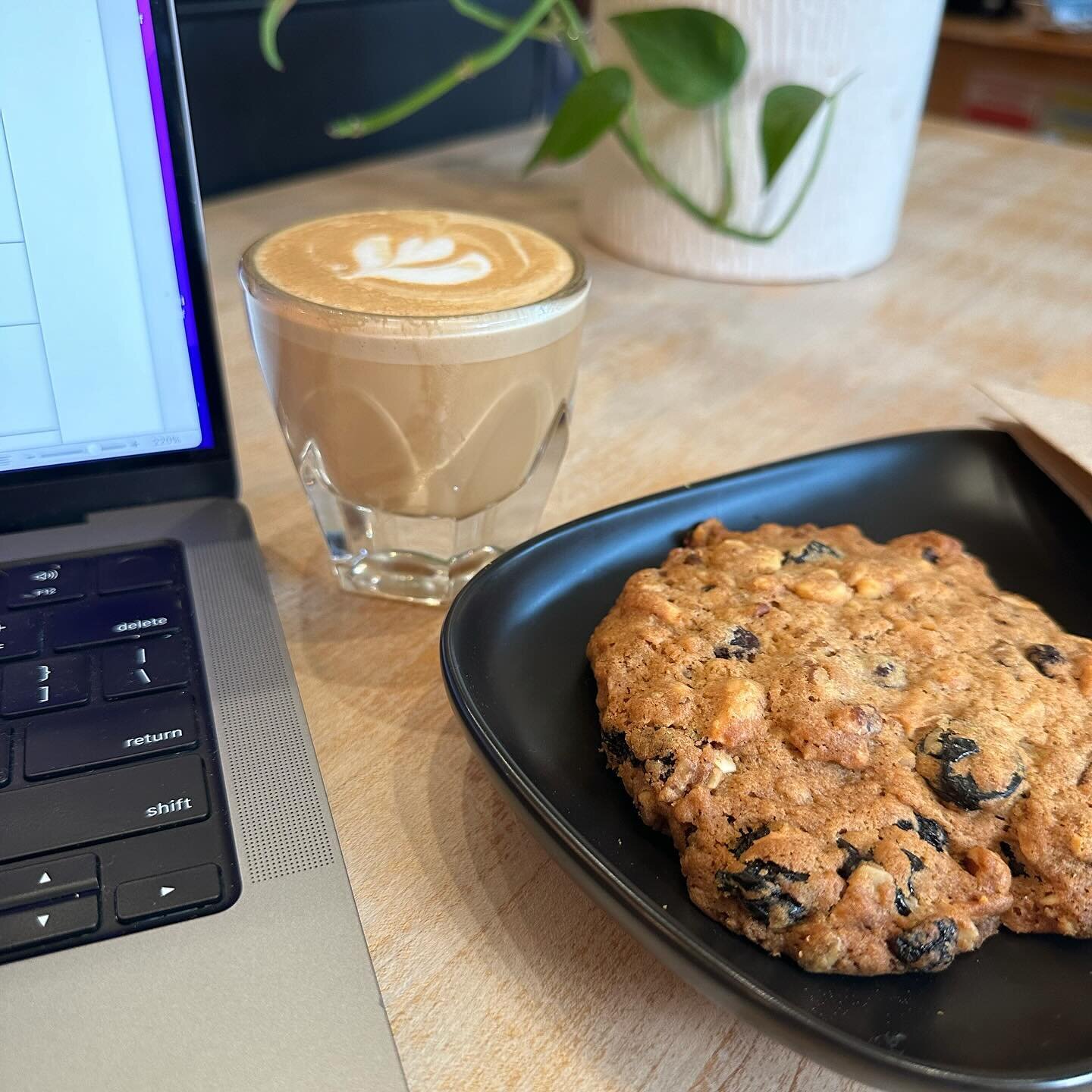 The perfect pair for an afternoon &lsquo;pick me up!&rsquo; Breve Cortado with our new cookies (addictive granola shown here) from @crookedtreebreadworks 🍪🤎

@northperkcoffee @downtownpetoskey @petoskeyarea #northperkcoffee #cookies #addictivegrano