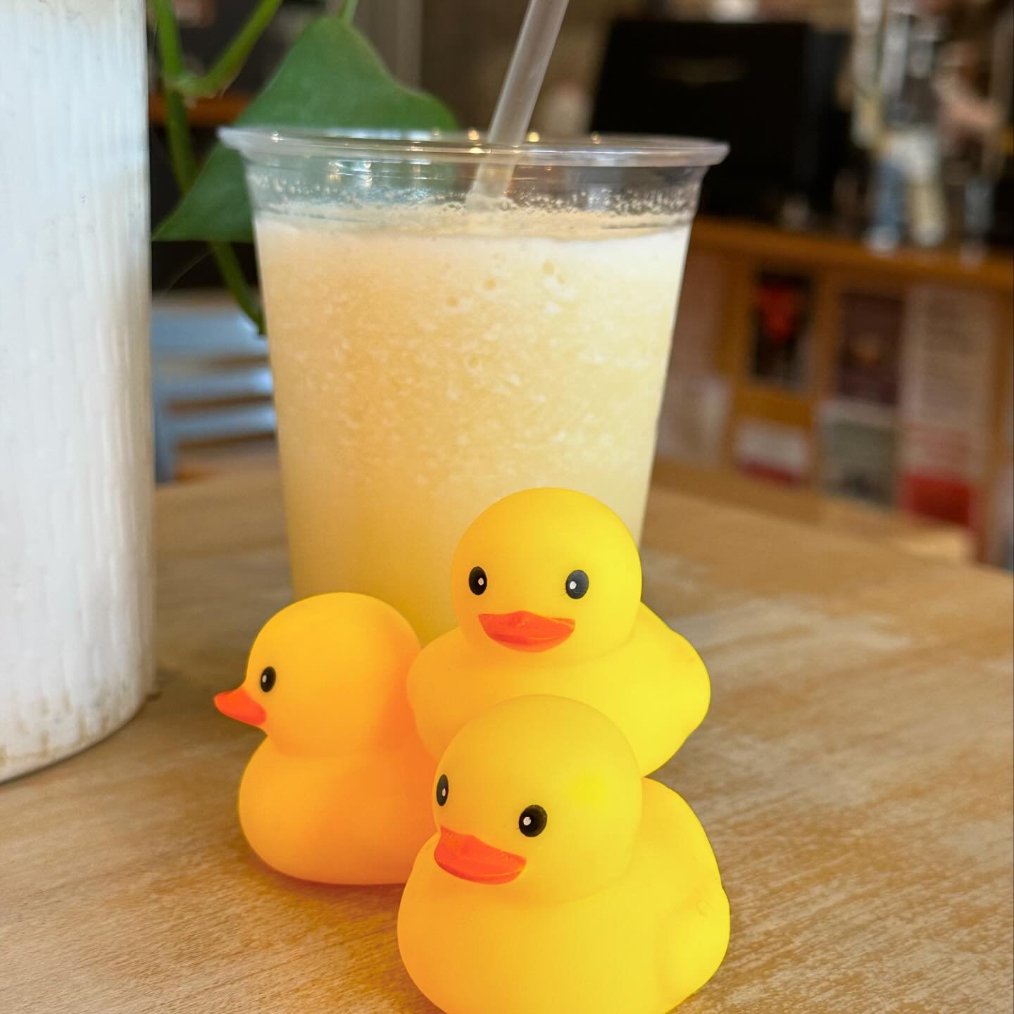 We are feeling Just Ducky! Stop in for some fun at NPC and all around Downtown Petoskey this weekend. We have a frozen Lavender Lemonade on special and a fun activity for kids on Saturday 🍋💜🍋

@downtownpetoskey @petoskeyarea @petoskeychamber @nort