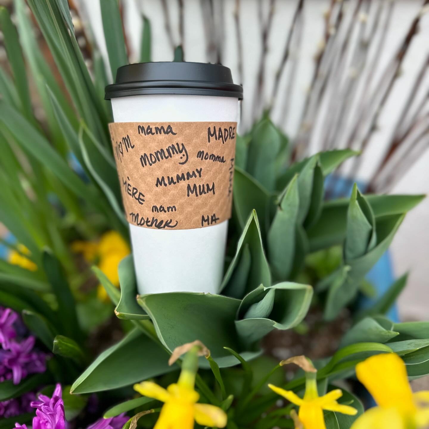 Wishing all the moms a wonderful day. Happy Mother&rsquo;s Day 🌸

@northperkcoffee #northperkcoffee #mothersday #momsarethebest