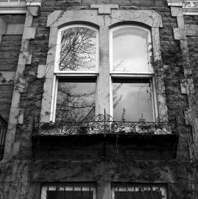 02_Window reflection 2.jpg