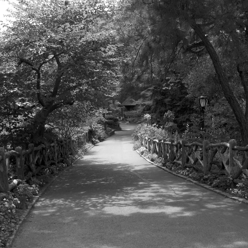 rustic walk.jpg
