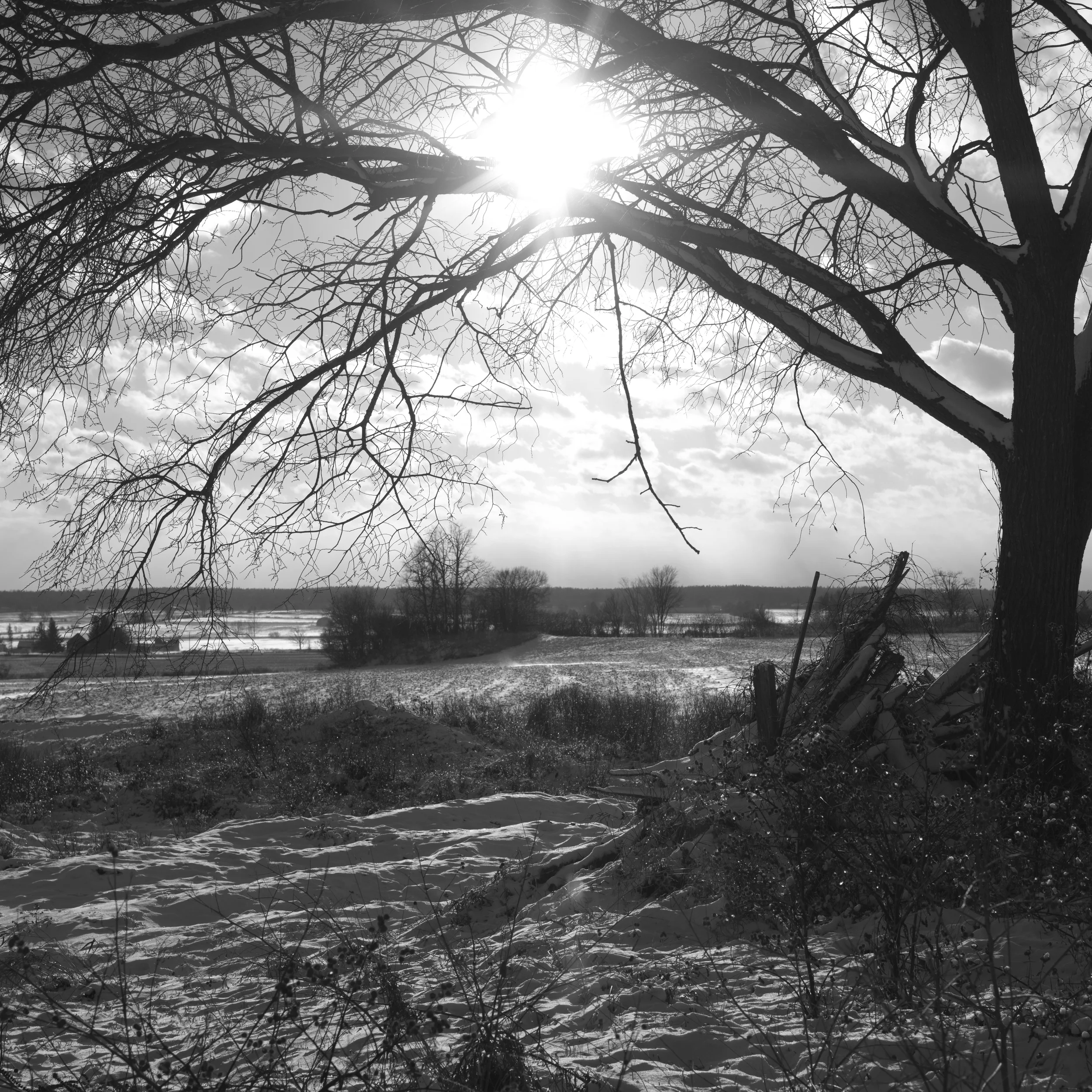Winter Farmland