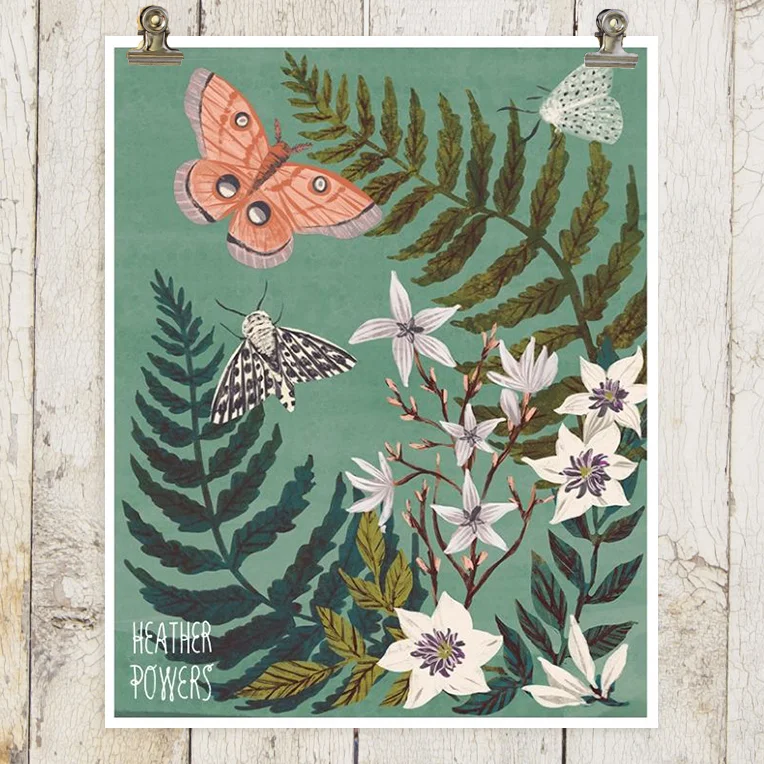 moth fern 1.jpg