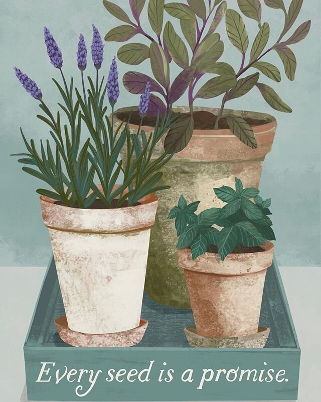 So digging everything about gardening at the moment. Digging...sorry, too many days stuck at home! This is a card design so it&rsquo;s vertical format isn&rsquo;t IG friendly, hence the weird cut off at the top. #gardening #gardenillustration