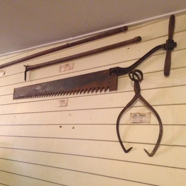 The ice saw, tongs, and pike pole seen here were used on Conesus Lake. Teams of as many as 100 men worked each winter to “harvest” ice. After the lake was frozen to a substantial depth, the surface would be marked out in “cakes” and a saw was used to cut the ice into blocks. The blocks were then pried apart using long-handled picks and chisels. Once separated, these chunks could be manipulated with tongs and pushed across the ice using a pike pole. Blocks of ice were transported by sled to various locations.