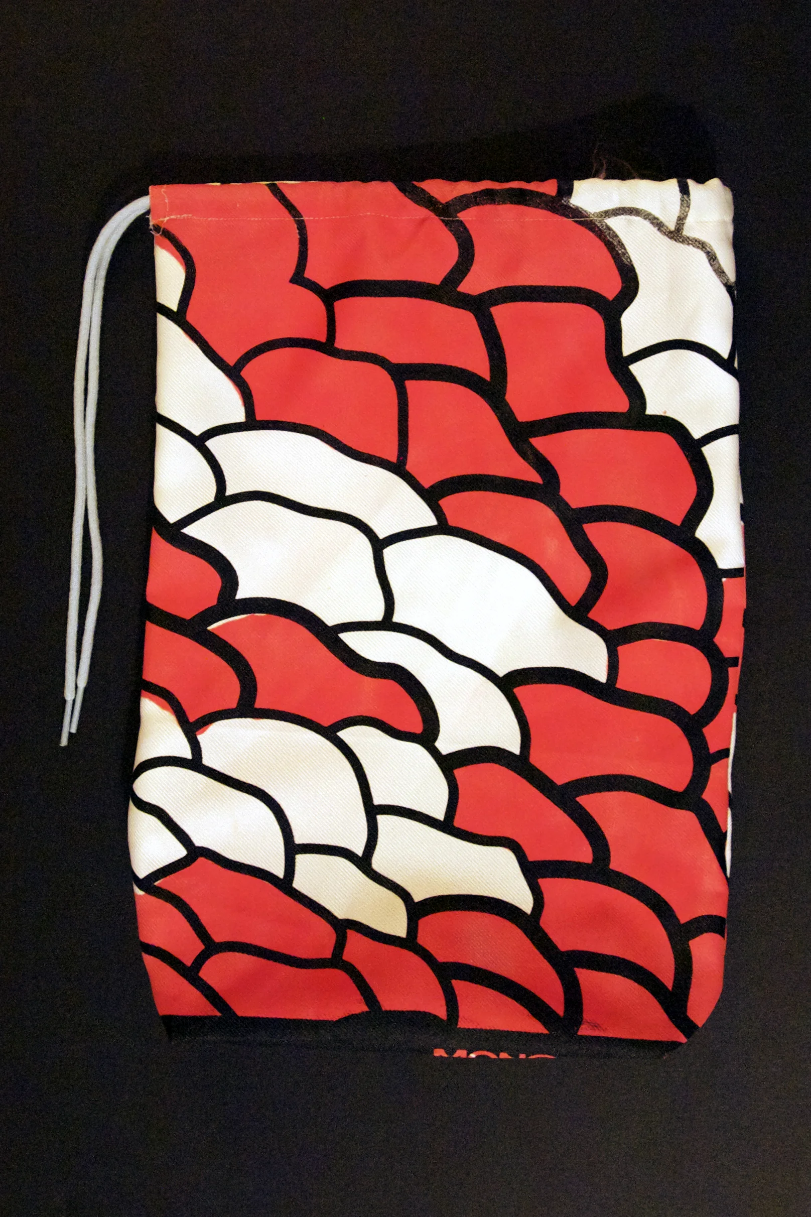Koi Sneaker Bag