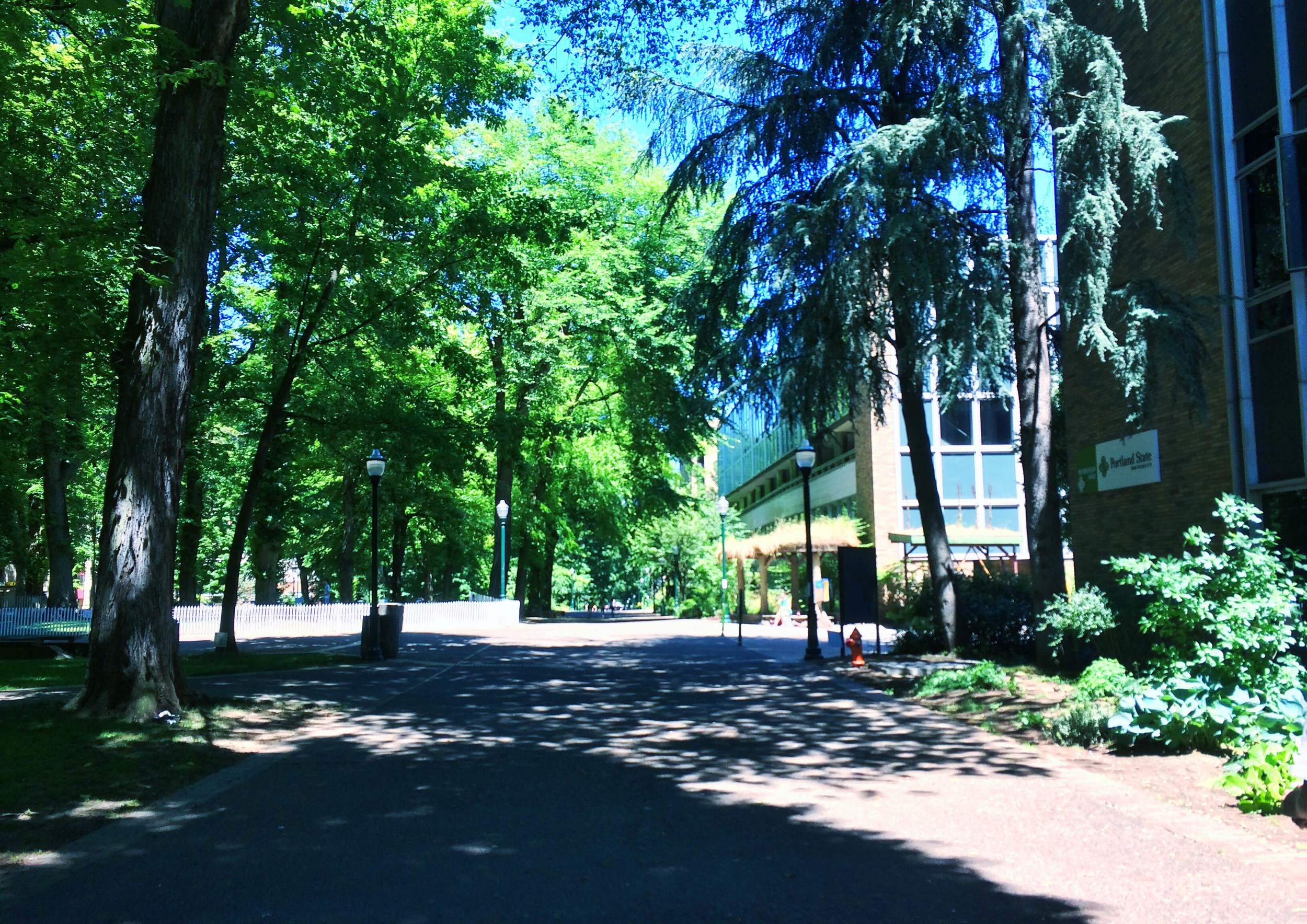 Walking through the more University-like areas of Portland State University.