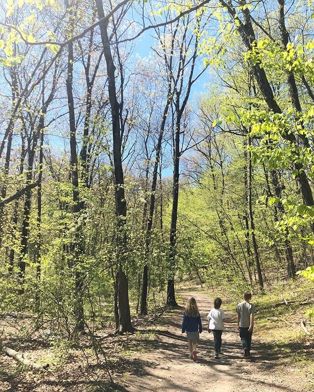 Daily outing. 🌳🌿🍃🌸💕☀️