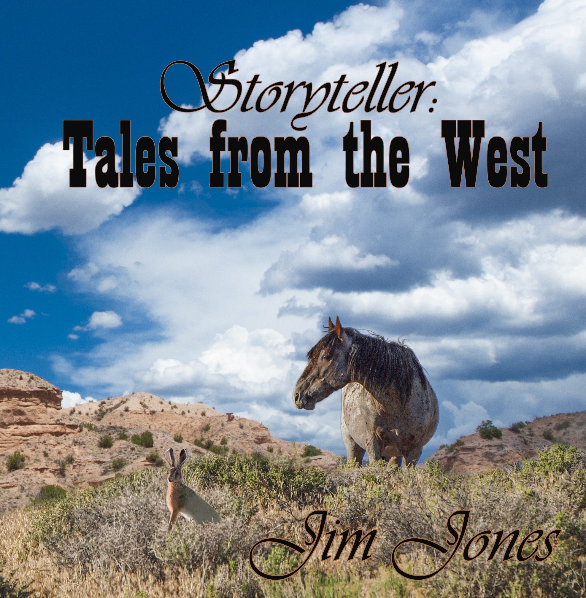 Storyteller front cover edit (2).jpg