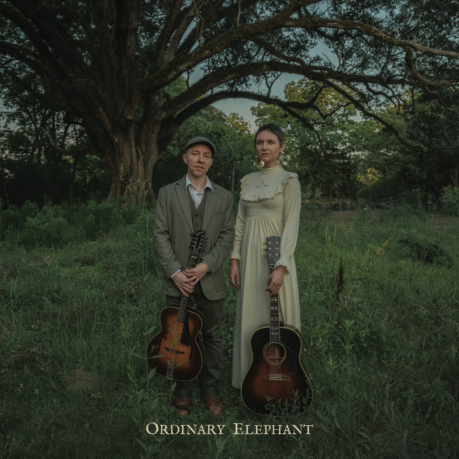 Ordinary Elephant - album cover - square - web resolution.png