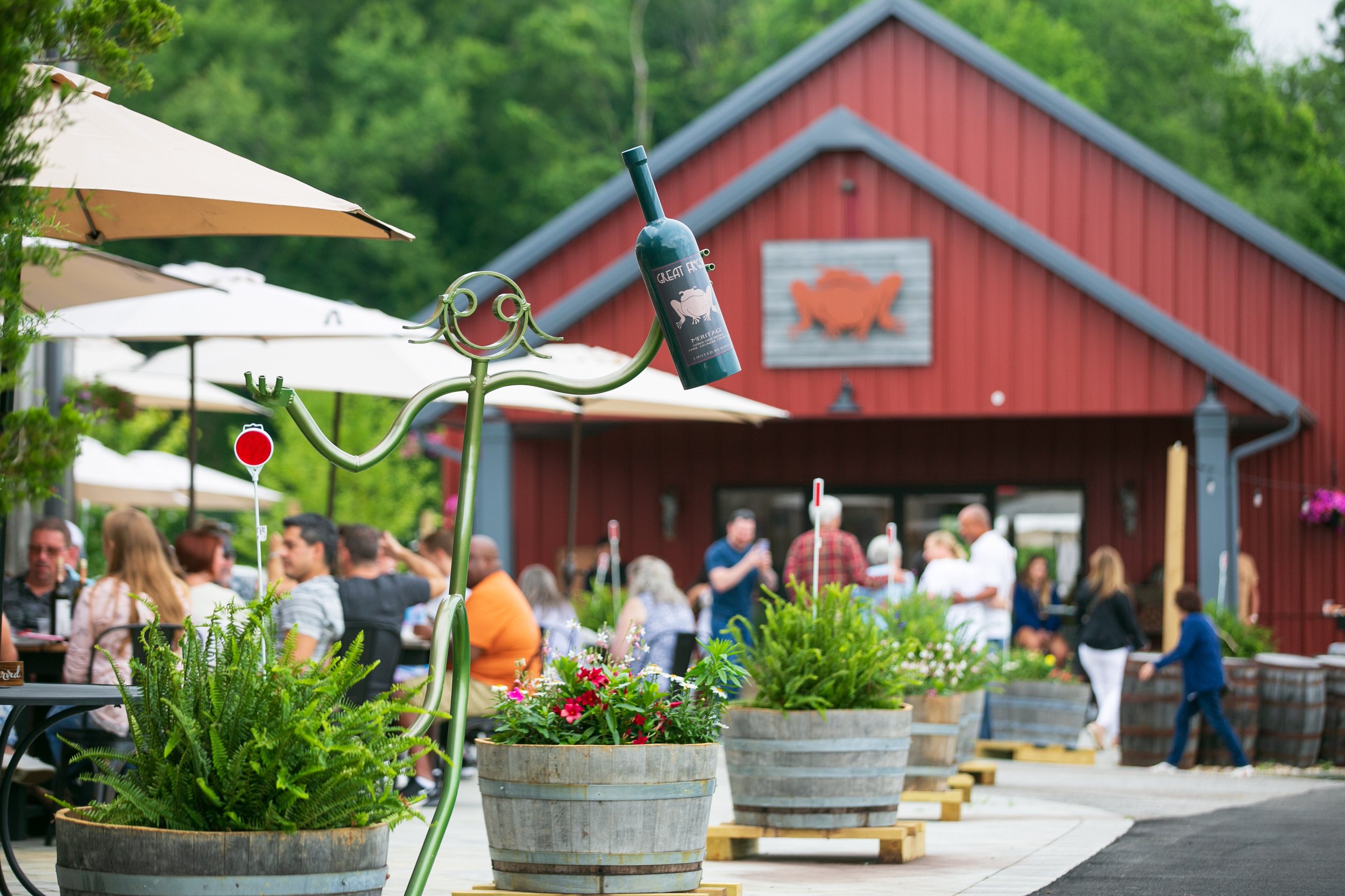 Great Frogs Winery, Annapolis MD