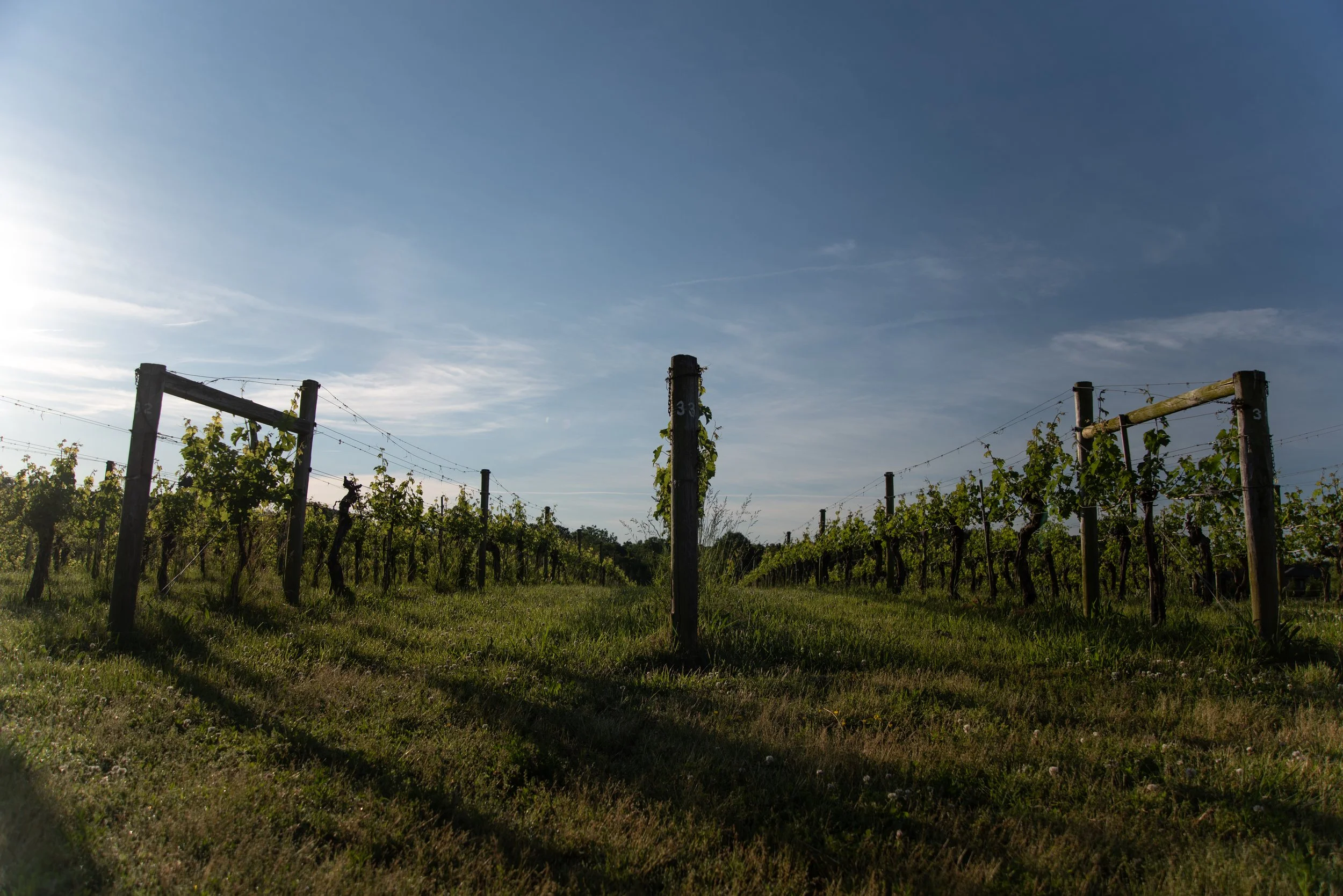 gf-blue angels2019 (1 of 36) copy.jpg