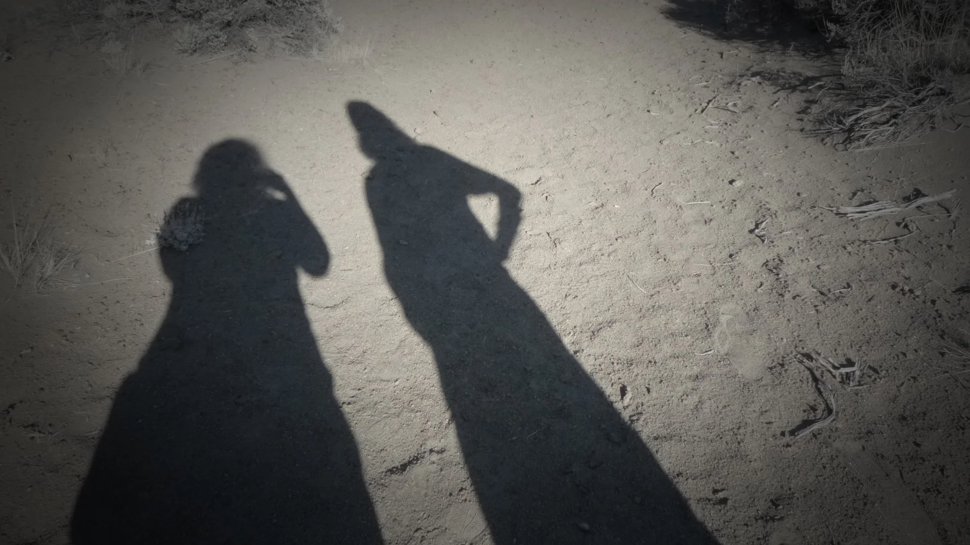 What my mobile can learn from my BFF