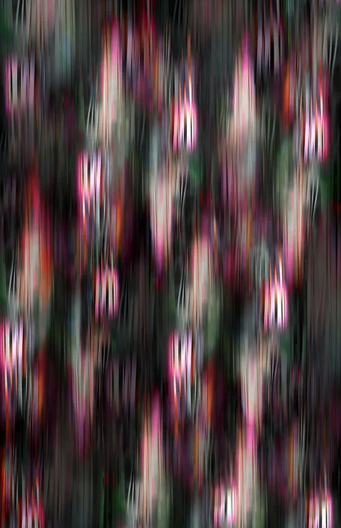 Engineered print. All work originated by the hand, manipulated on Photoshop. 