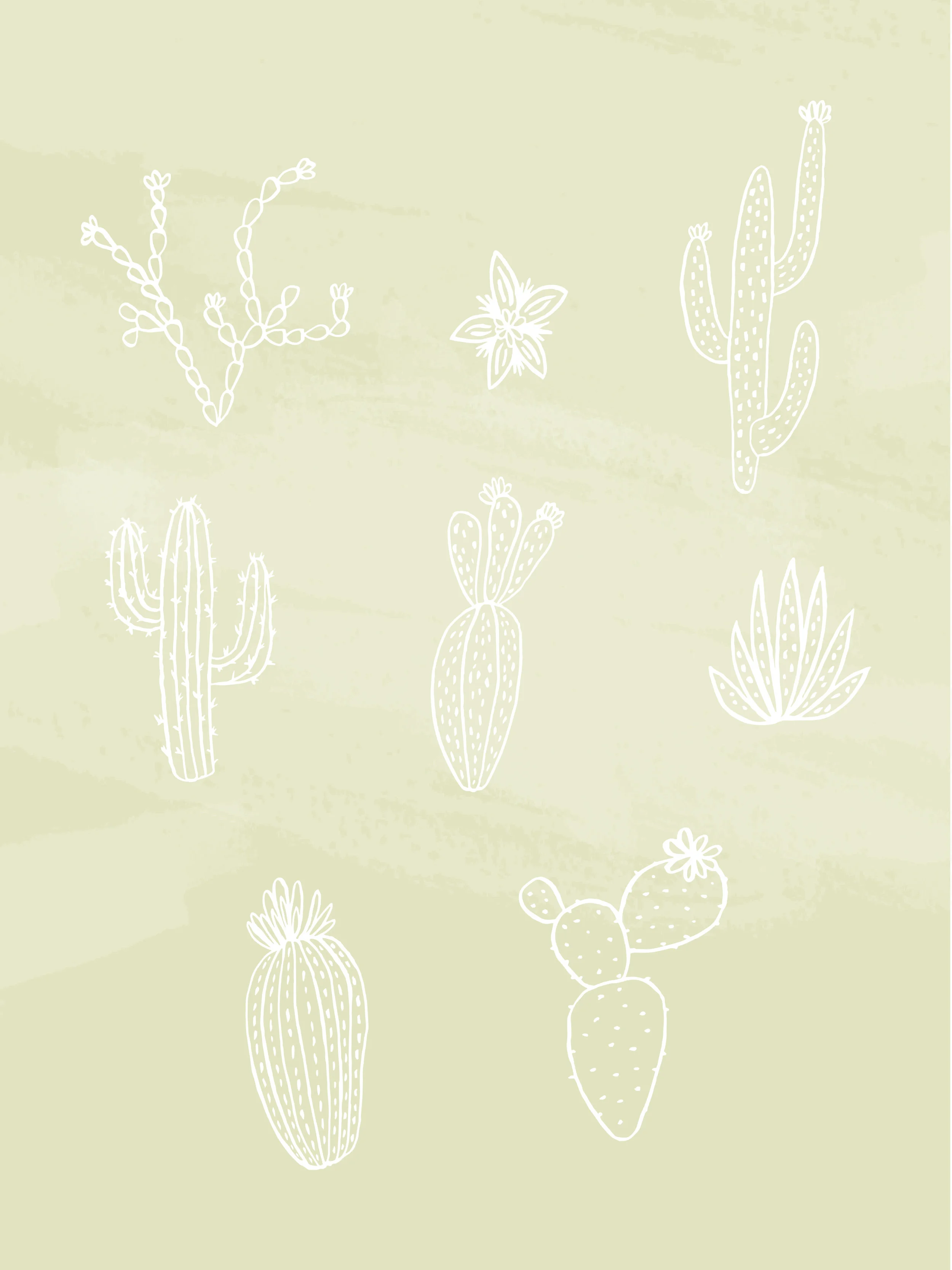 cactusBundle-02.jpg