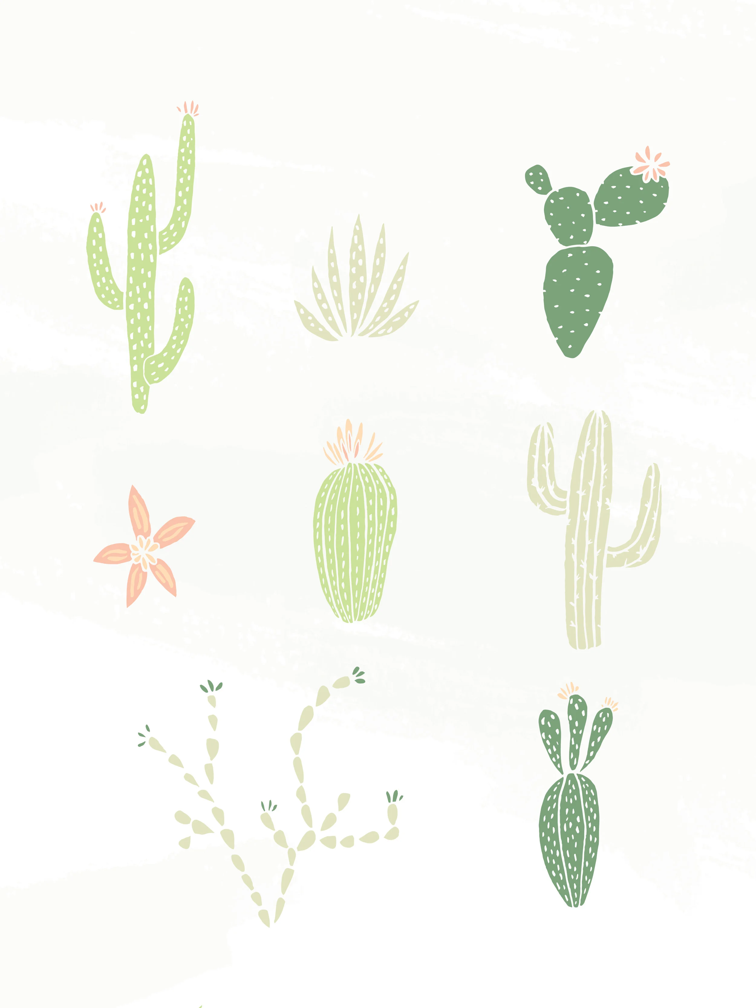 cactusBundle-01.jpg