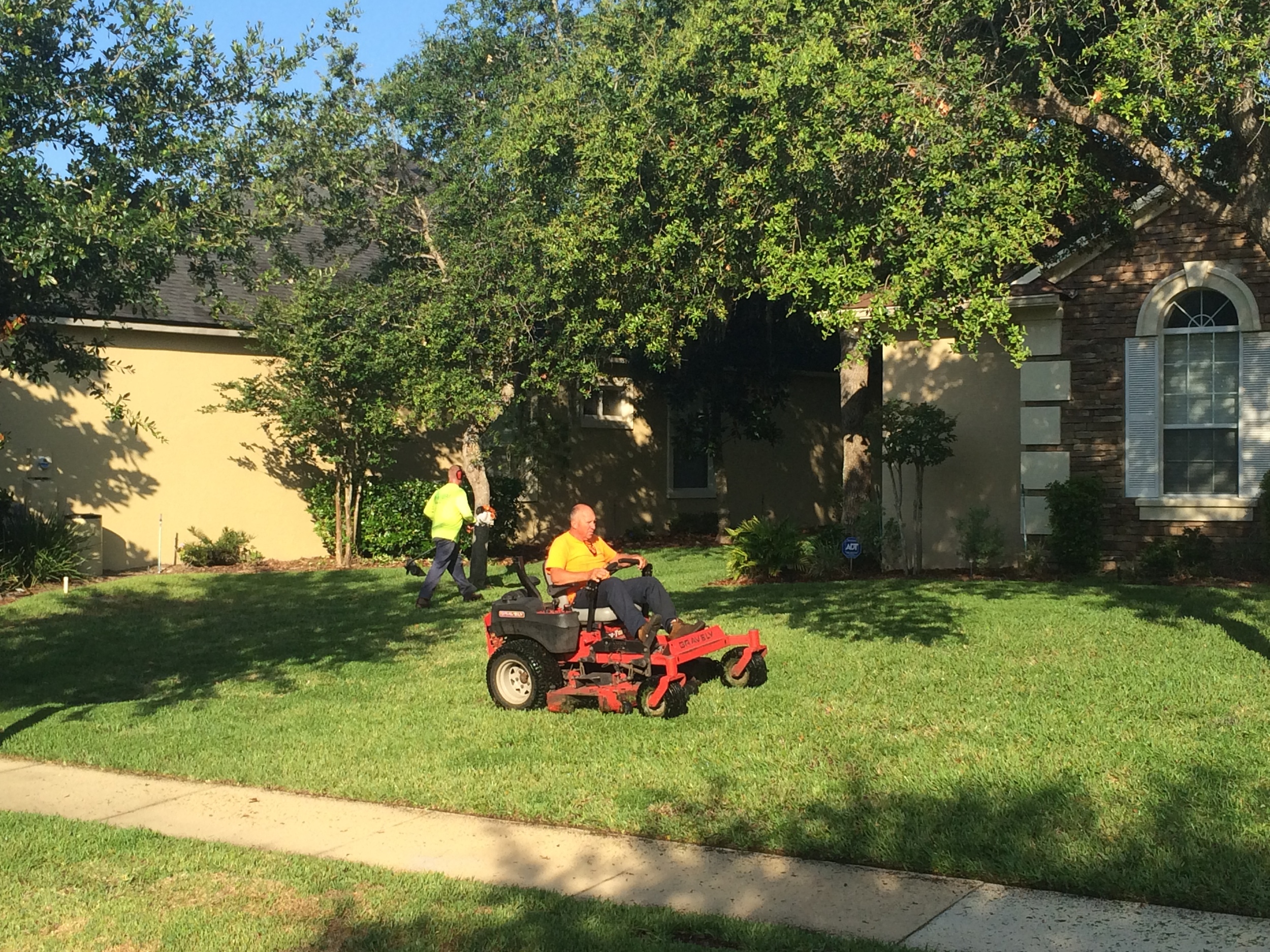   Lawn Care    Learn more  