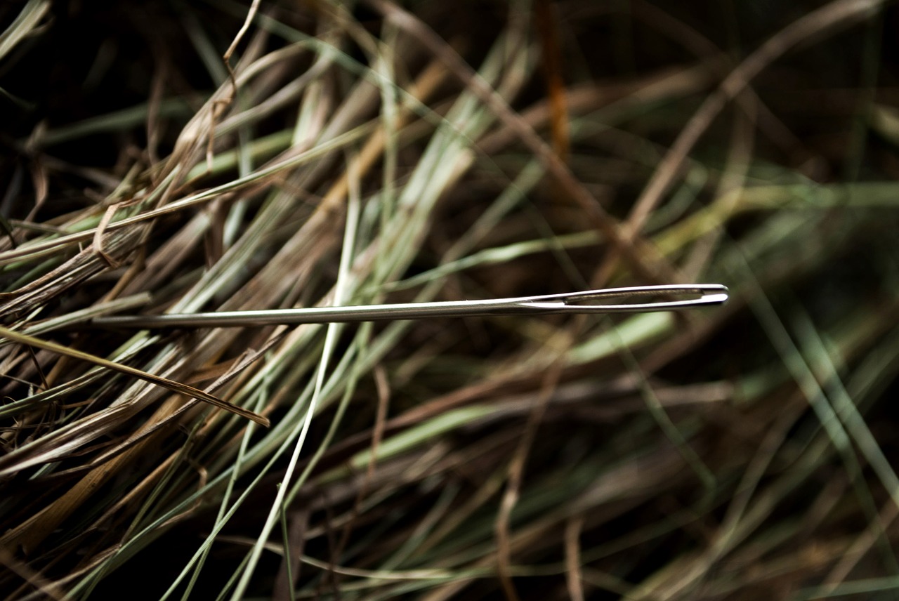 needle in a haystack.jpg